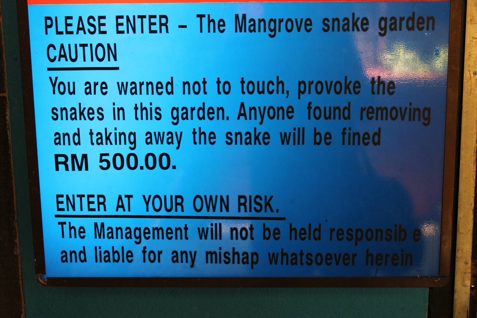 disclaimer on the walk-through mangrove snake enclosure