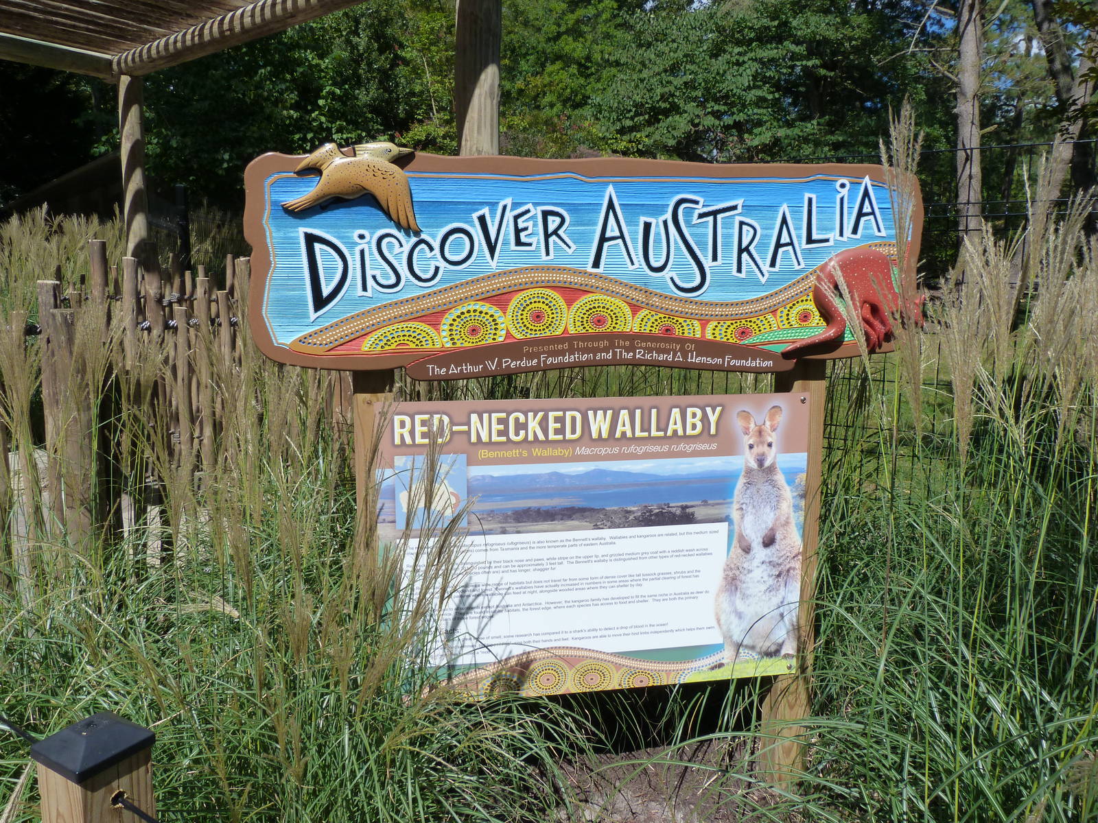 Discover Australia Sign