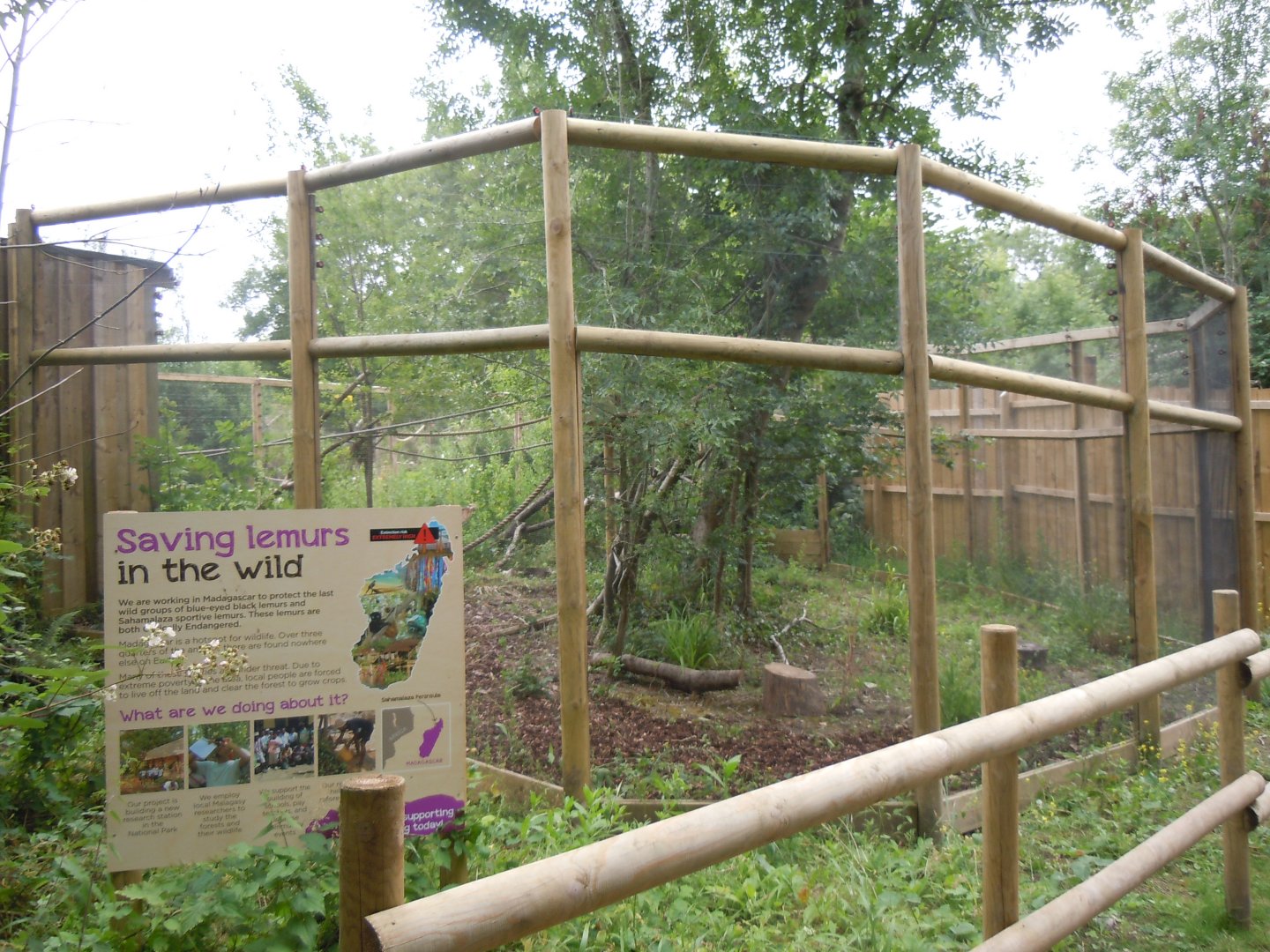 Discover Madagascar - Lemur enclosure 290620