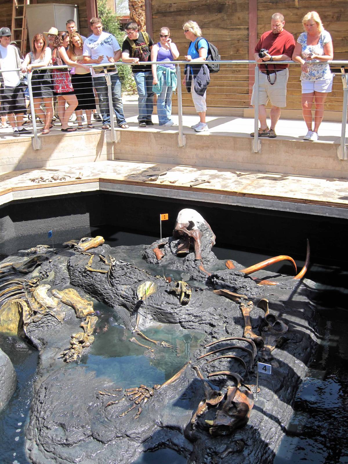 Discover Southern California's Past