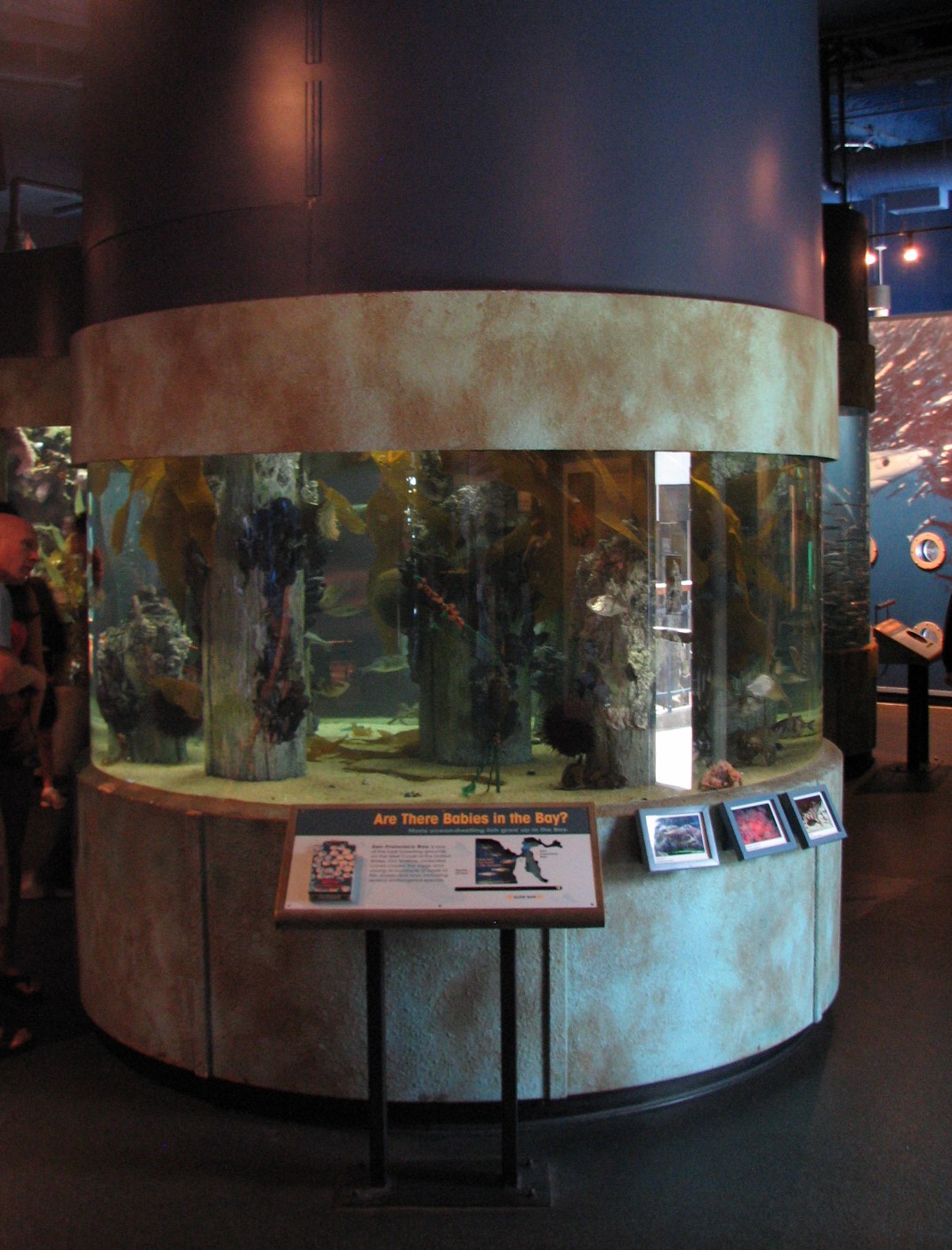 Discover the Bay - Pier Exhibit