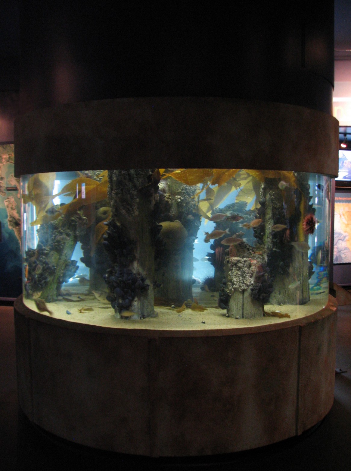 Discover the Bay - Pier Exhibit