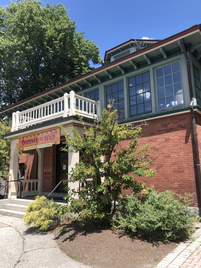 Discover the Wild Giftshop Exterior - July, 2020