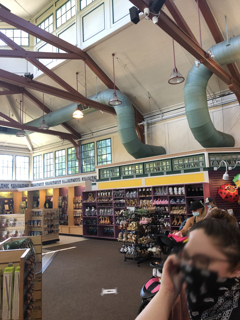 Discover the Wild Giftshop Interior - July, 2020