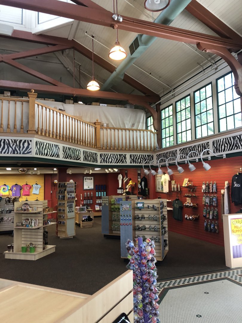 Discover the Wild Giftshop Interior - July, 2020