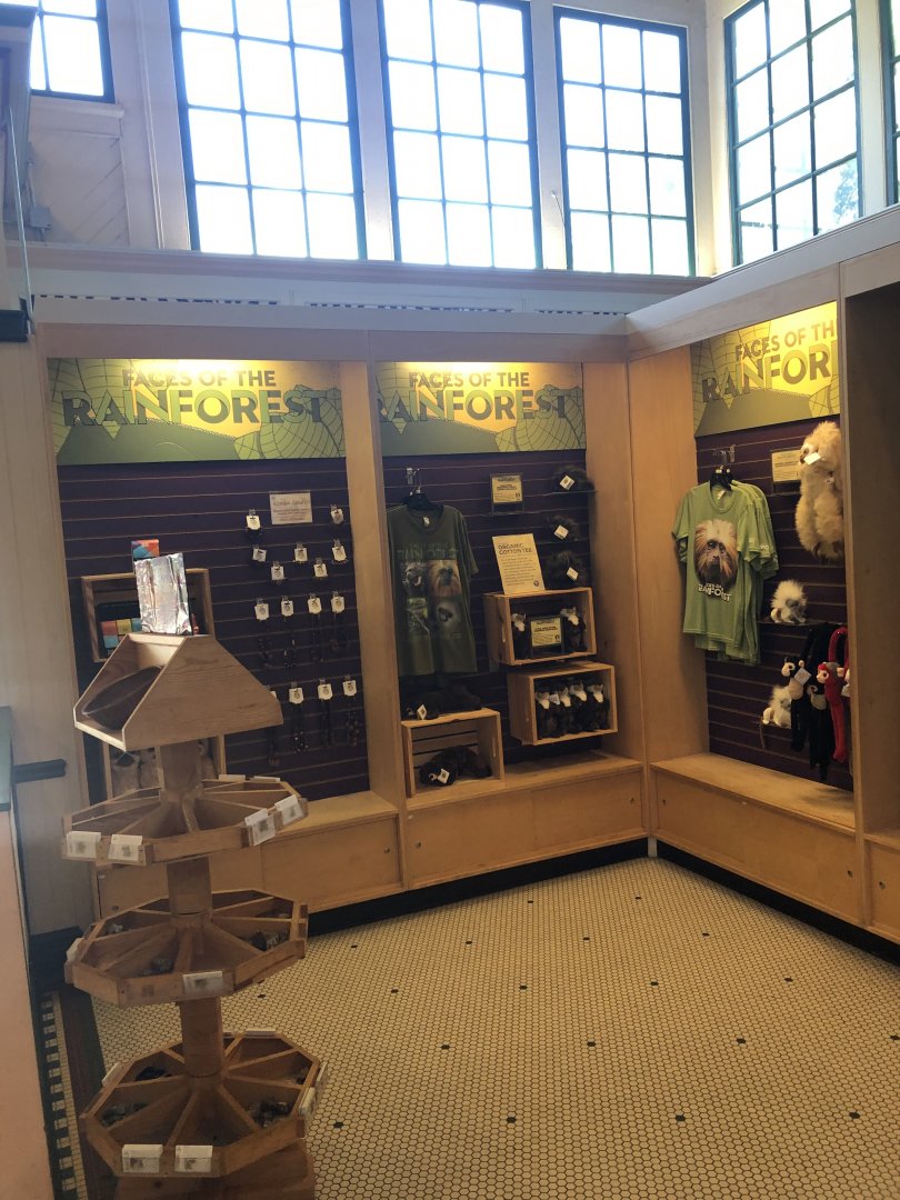 Discover the Wild Giftshop Interior - July, 2020