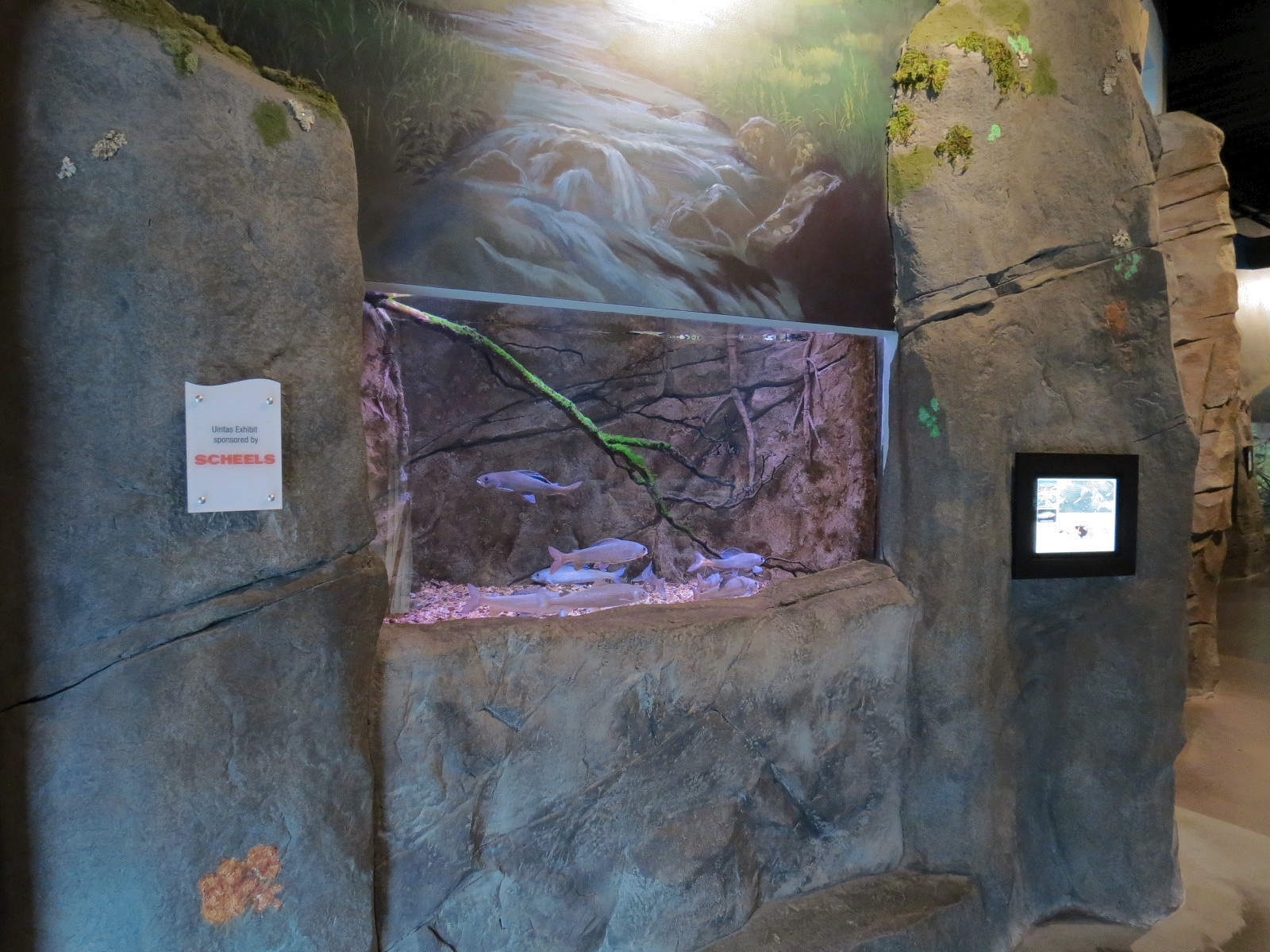 Discover Utah - Arctic Grayling and Others Exhibit