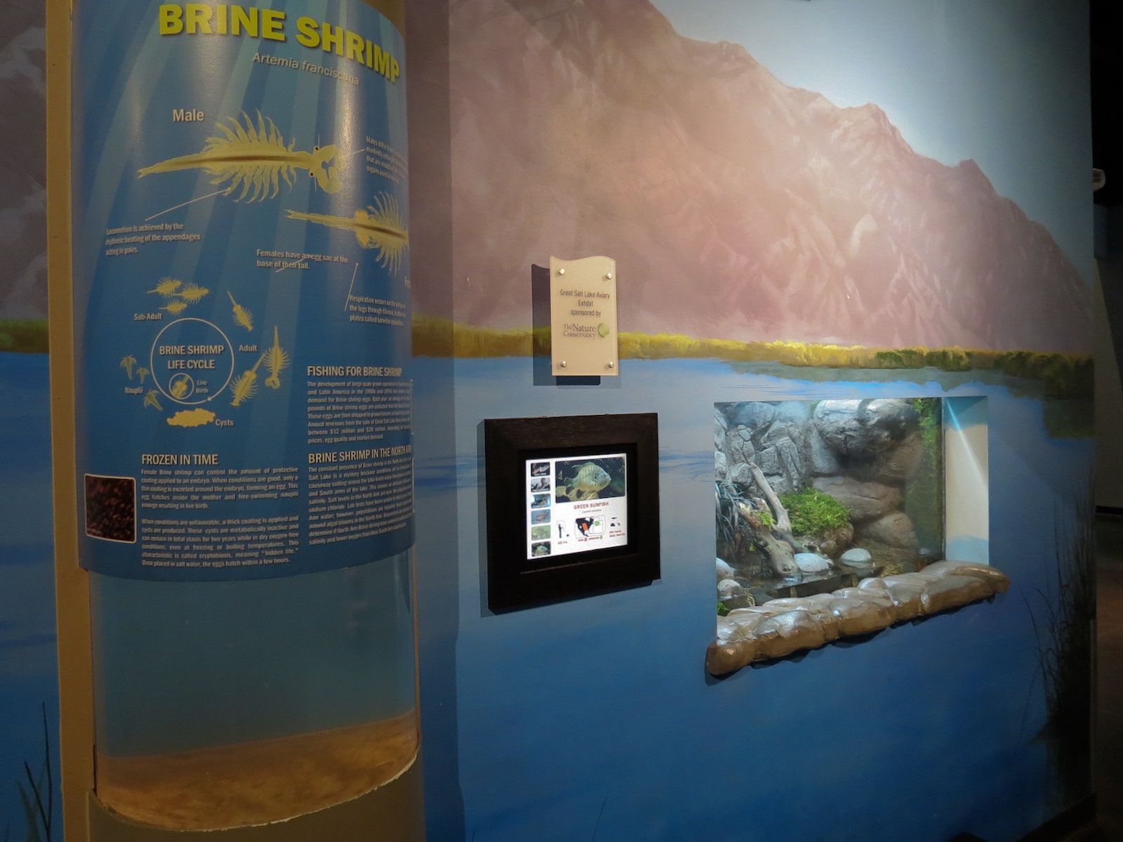 Discover Utah - Brine Shrimp Exhibit