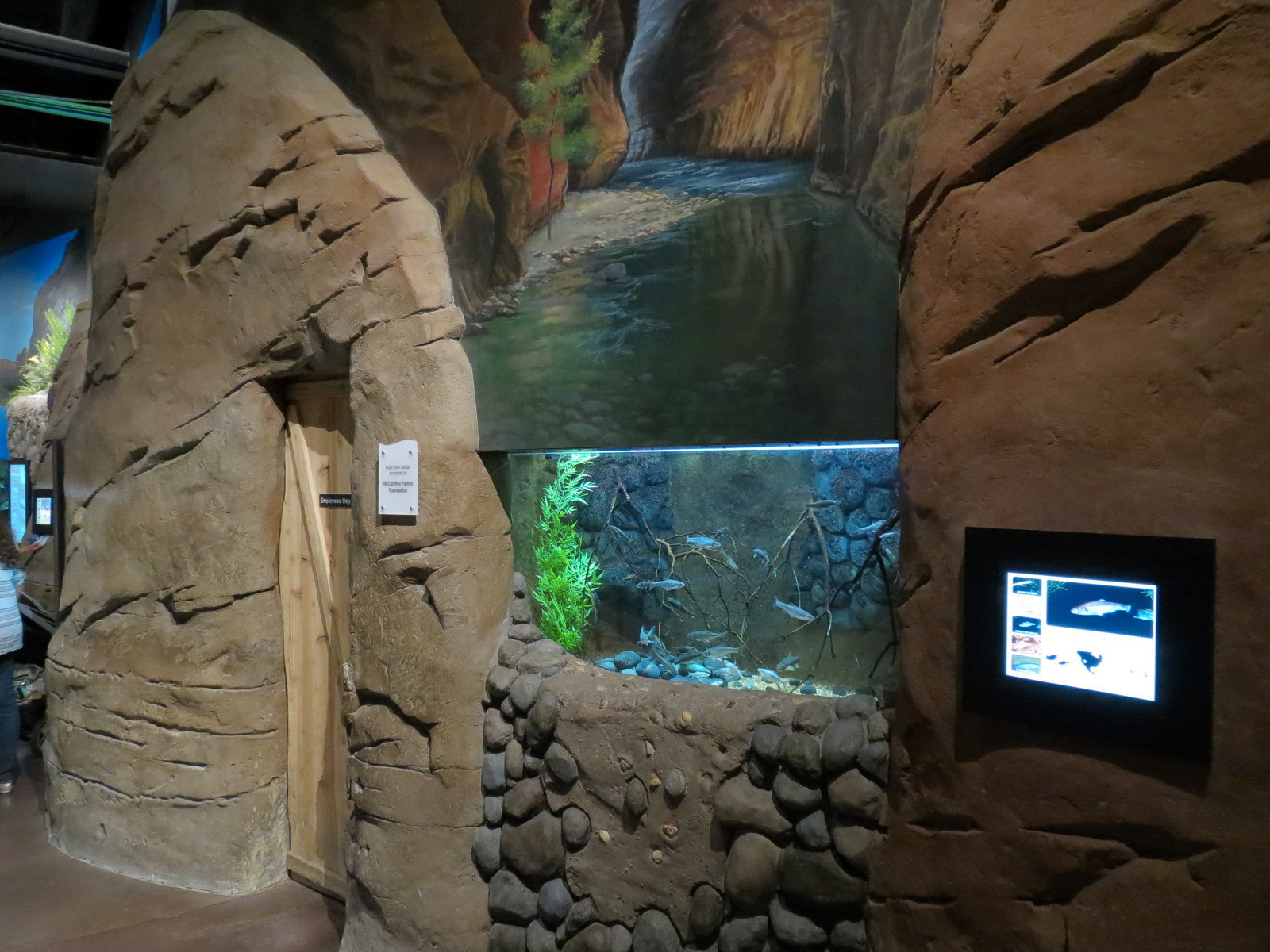 Discover Utah - Desert Sucker and Others Exhibit