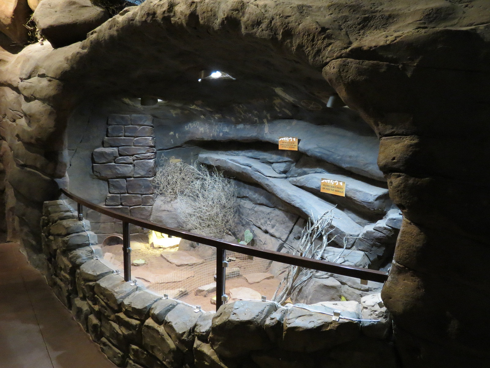 Discover Utah - Desert Tortoise Exhibit