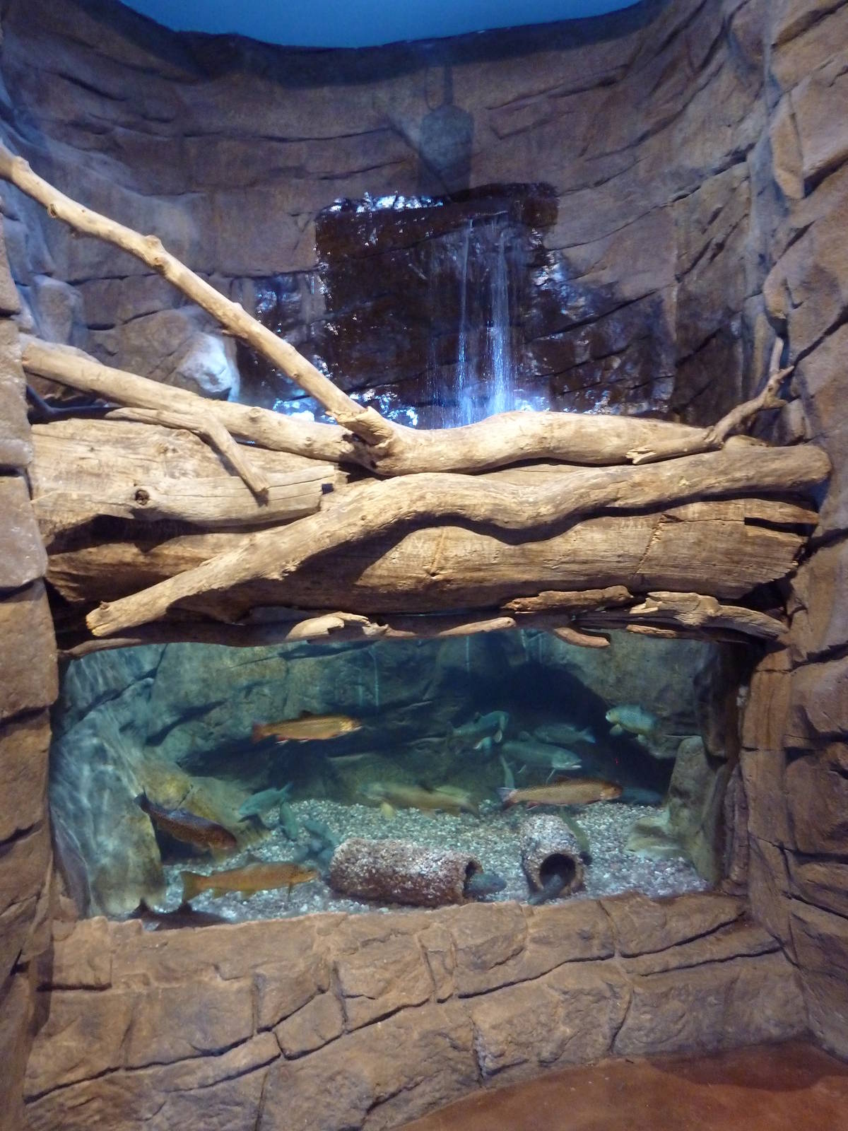 Discover Utah - Flaming Gorge Exhibit