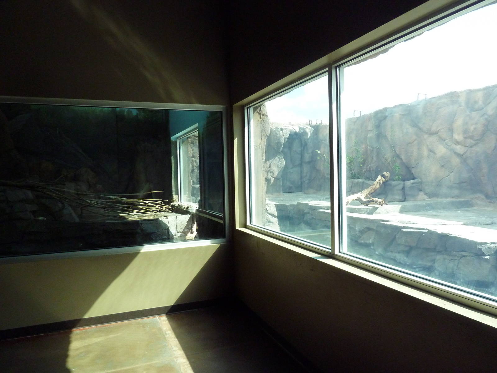 Discover Utah - North American River Otter Exhibit