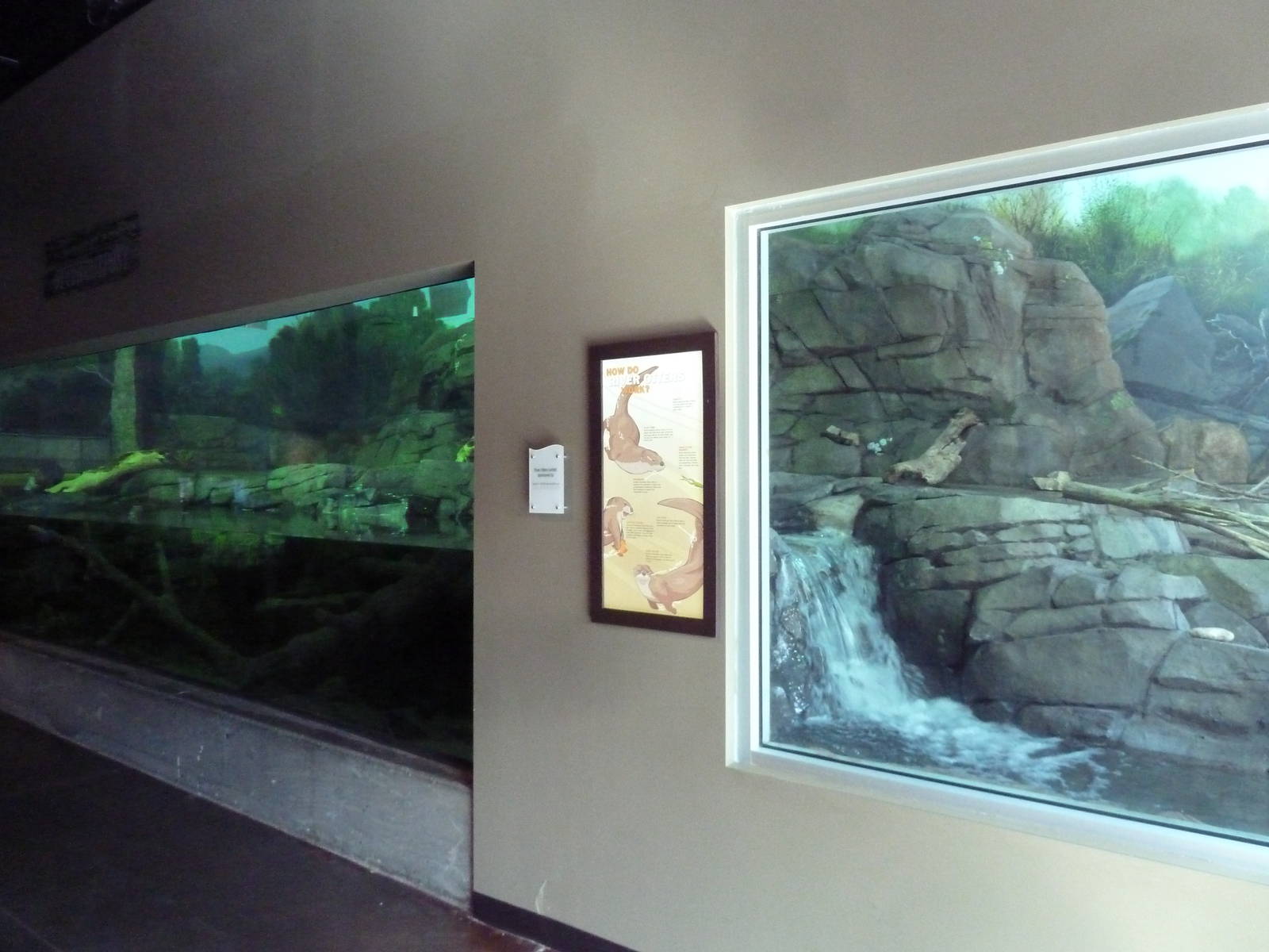 Discover Utah - North American River Otter Exhibit