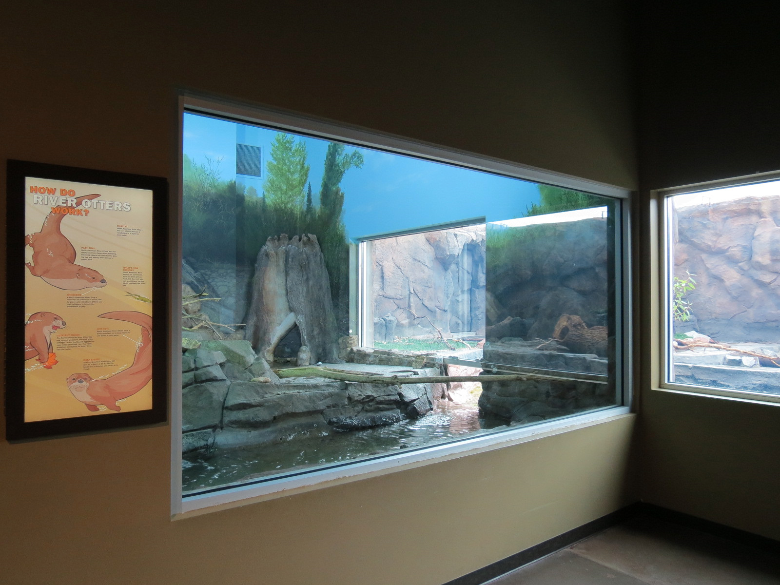 Discover Utah - North American River Otter Exhibit