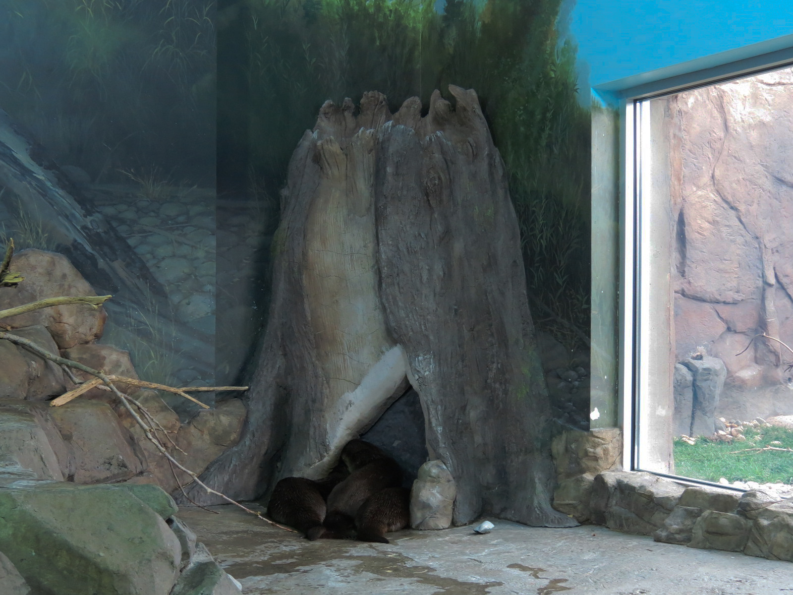 Discover Utah - North American River Otter Exhibit