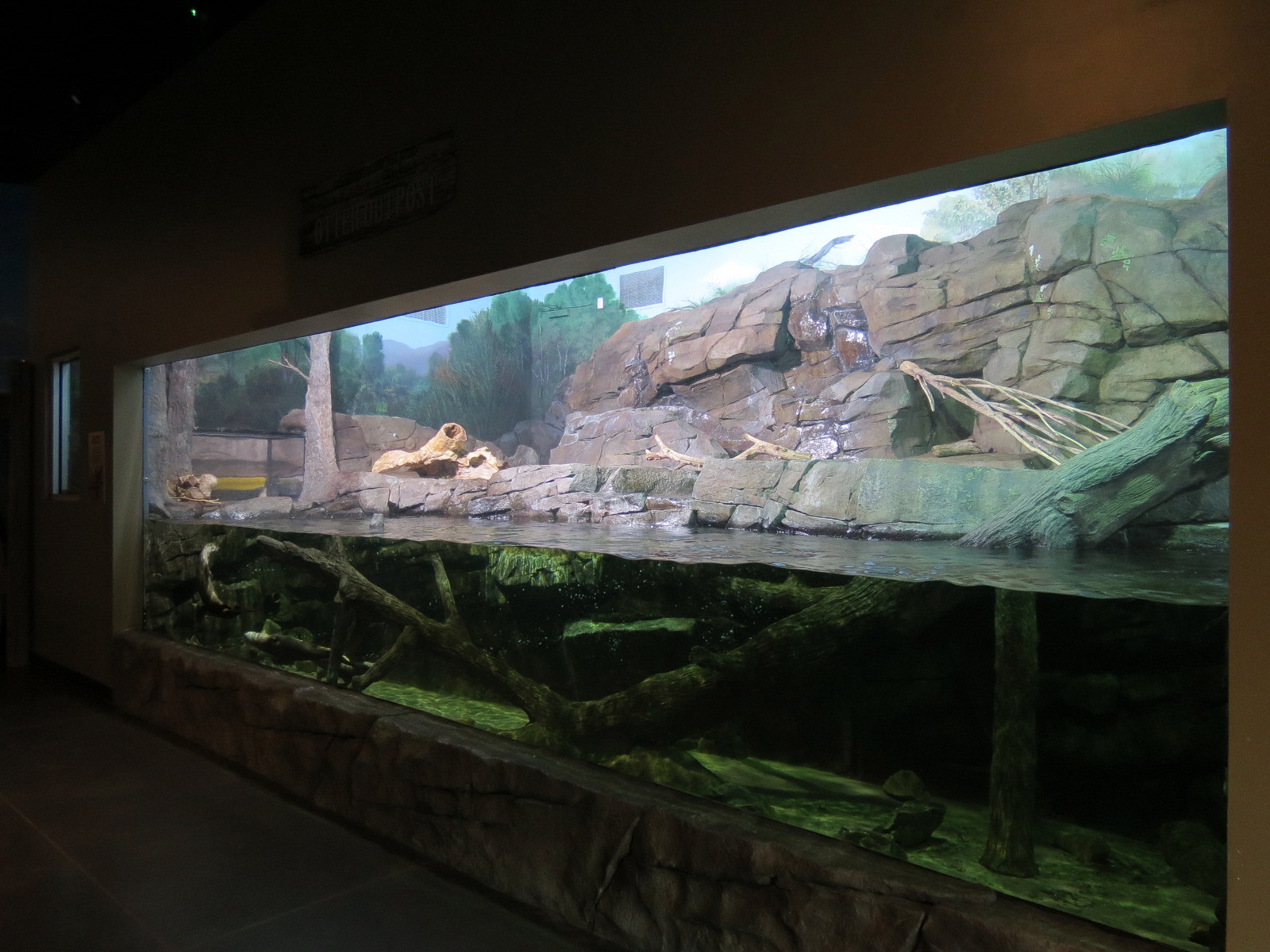Discover Utah - North American River Otter Exhibit