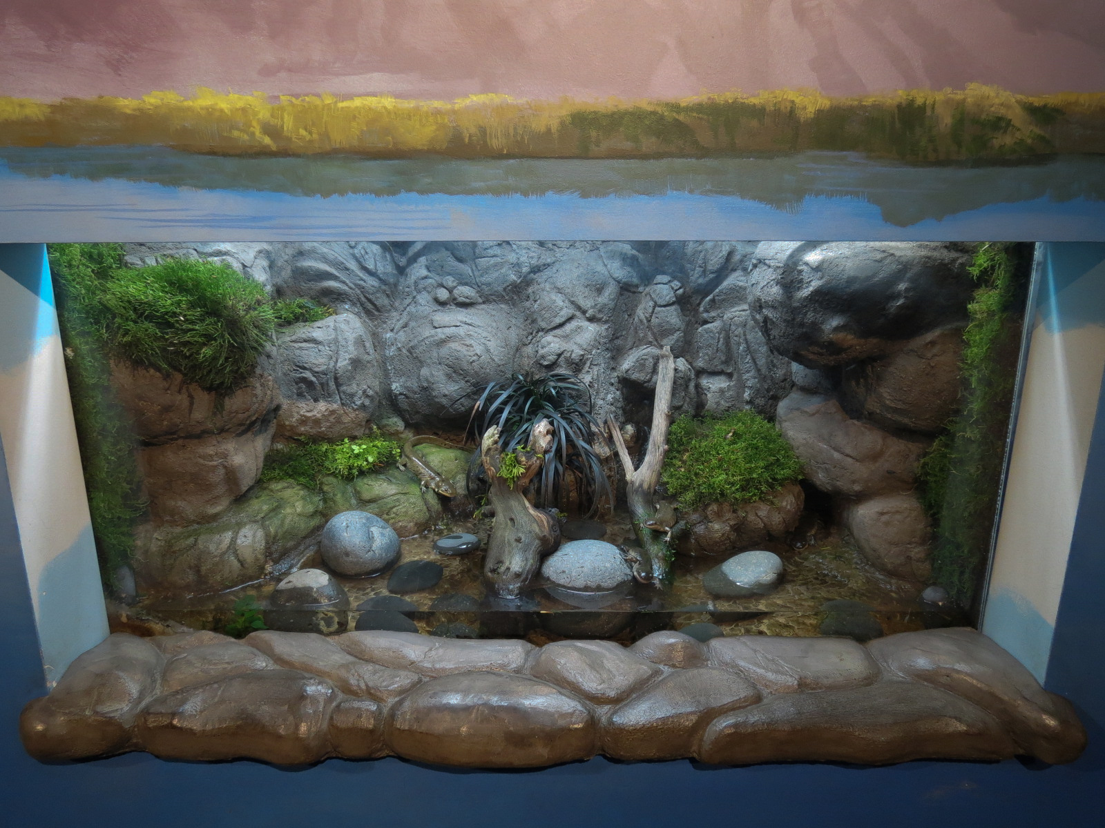 Discover Utah - Tiger Salamander Exhibit