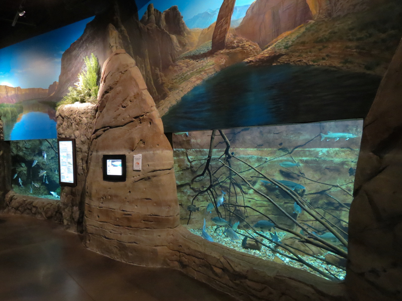 Discover Utah - Utah Game Fish Exhibit
