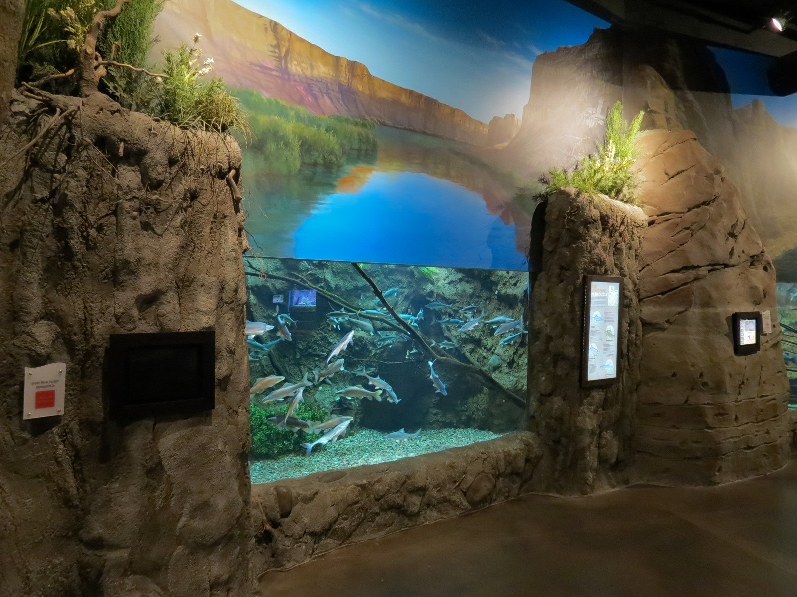 Discover Utah - Utah Native Fish Exhibit