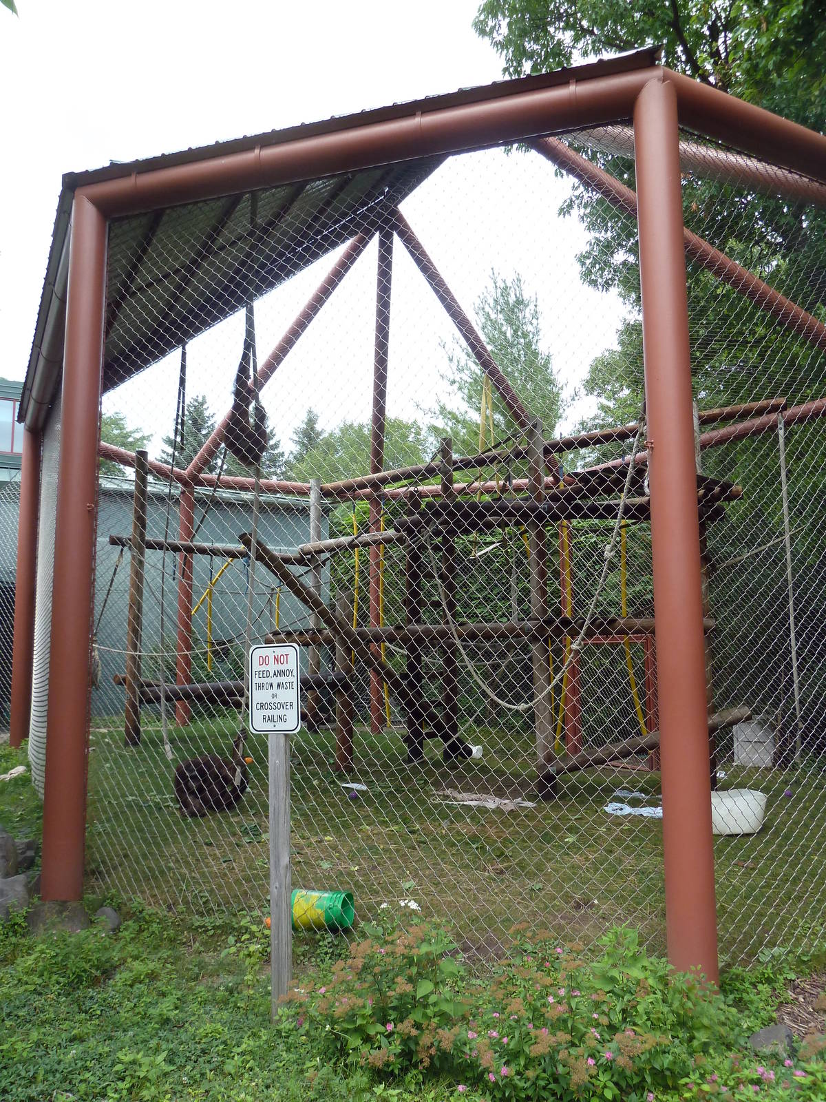 Discovering Primates Building - Bornean Orangutan Exhibit