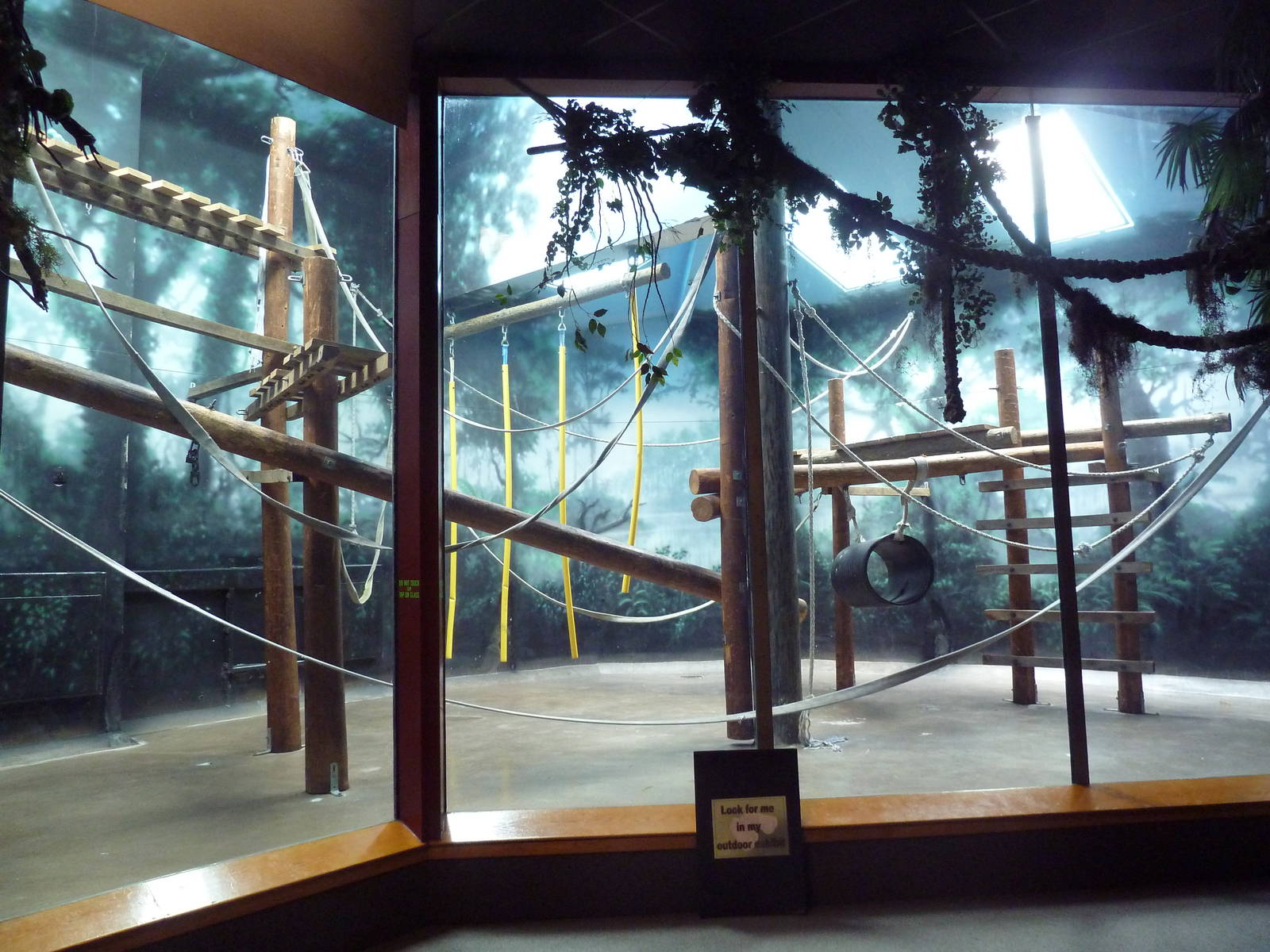 Discovering Primates Building - Bornean Orangutan Indoor Exhibit