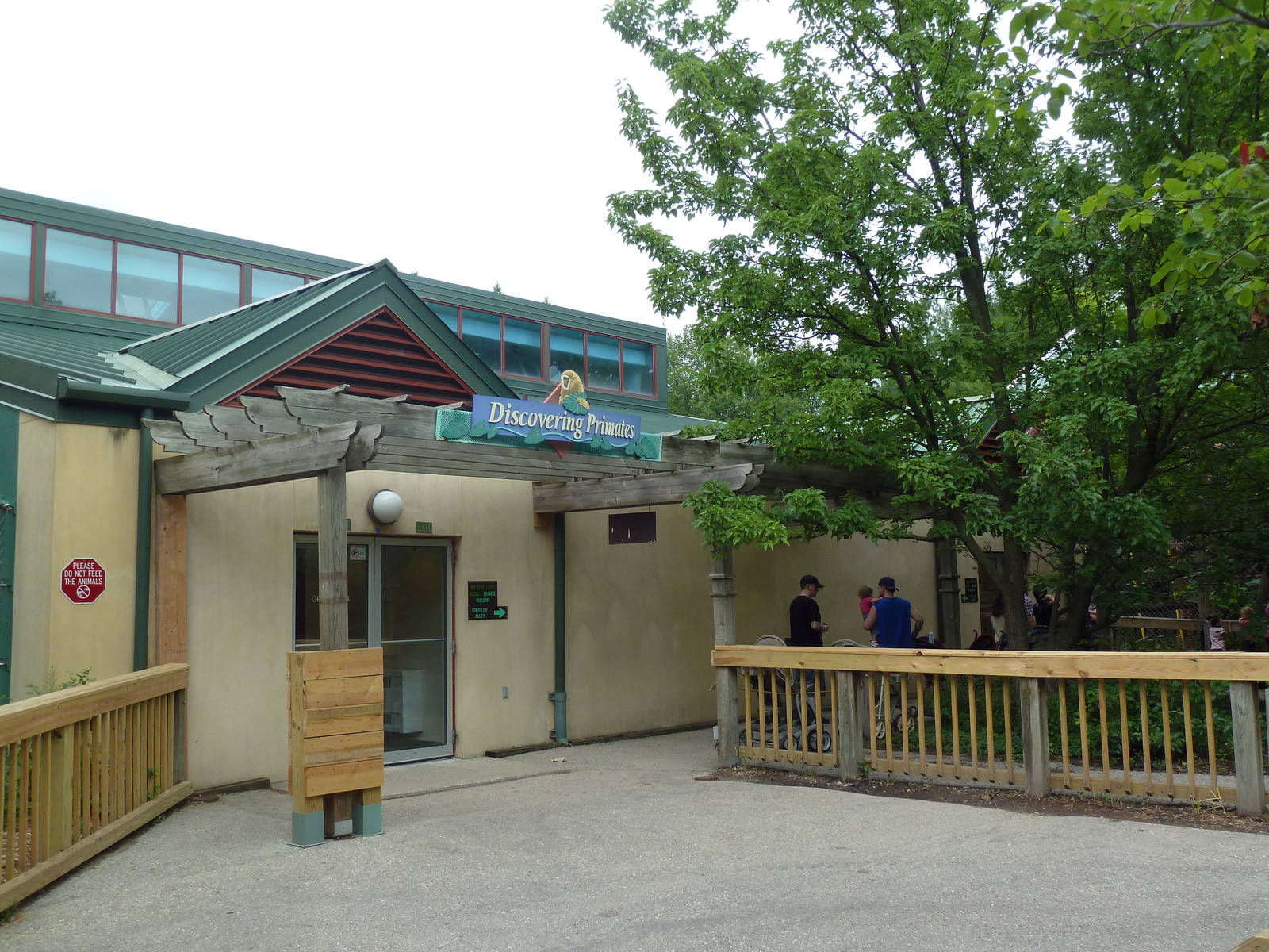 Discovering Primates Building