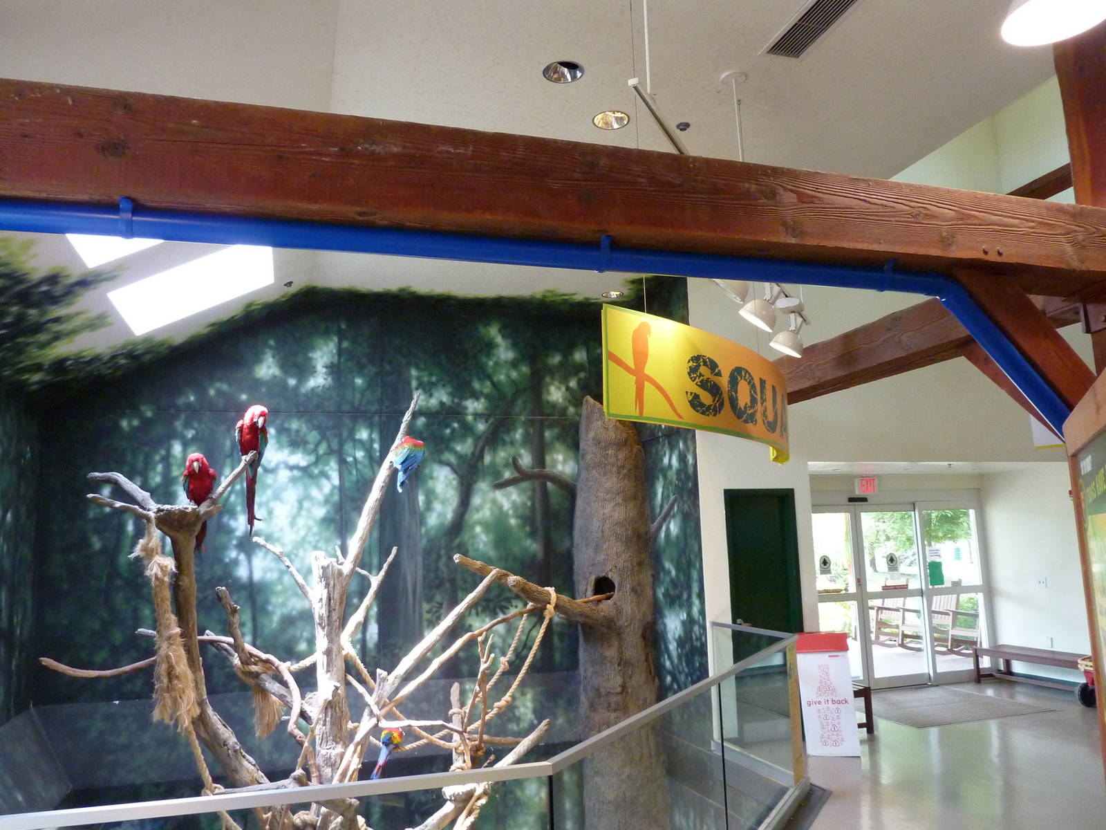 Discovery Barn - Macaw Perch