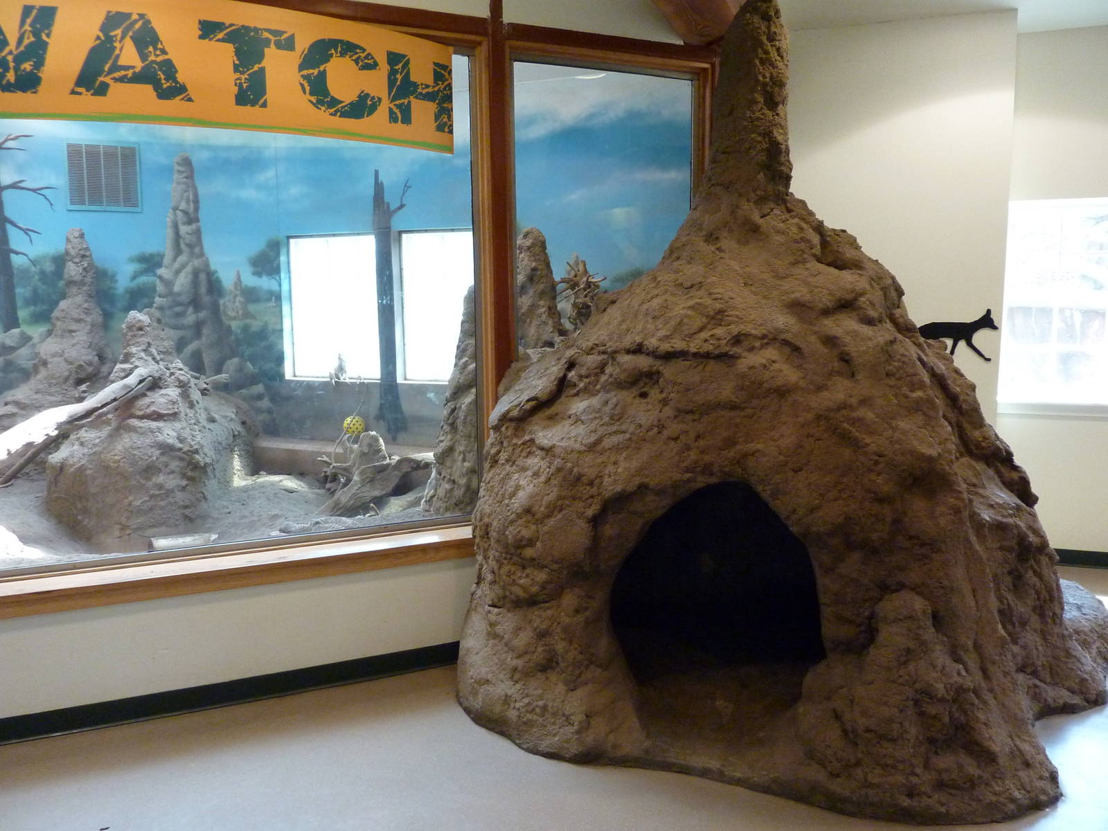 Discovery Barn - Meerkat Exhibit