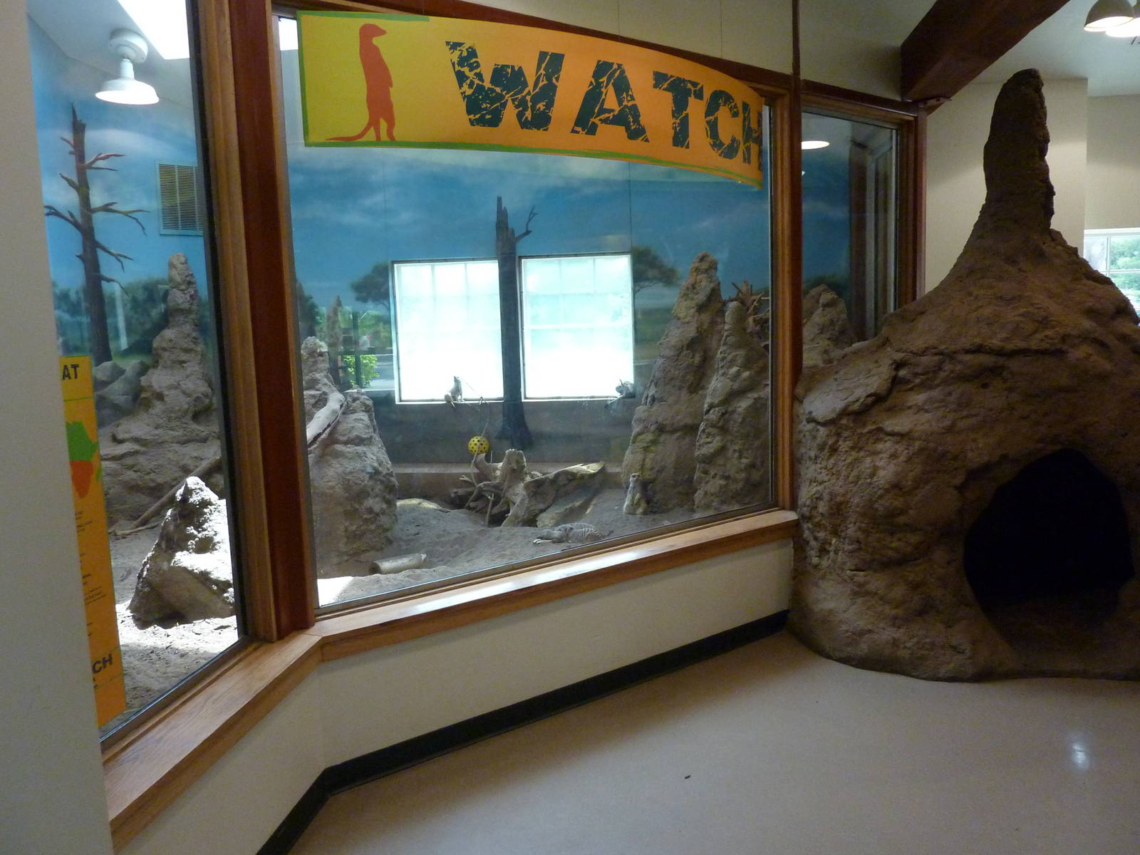 Discovery Barn - Meerkat Exhibit