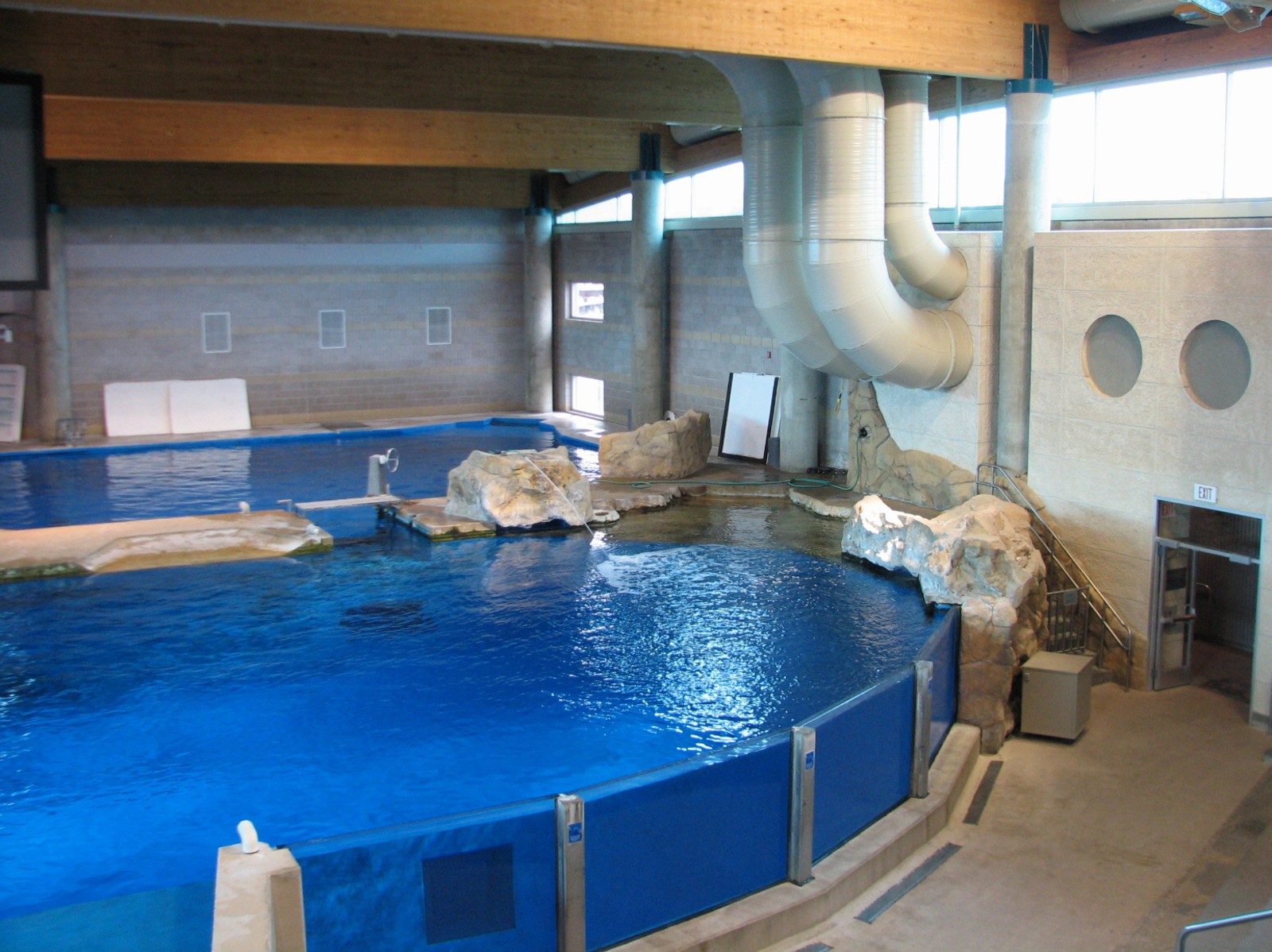 Discovery Bay - Bottlenose Dolphin Show Amphitheater