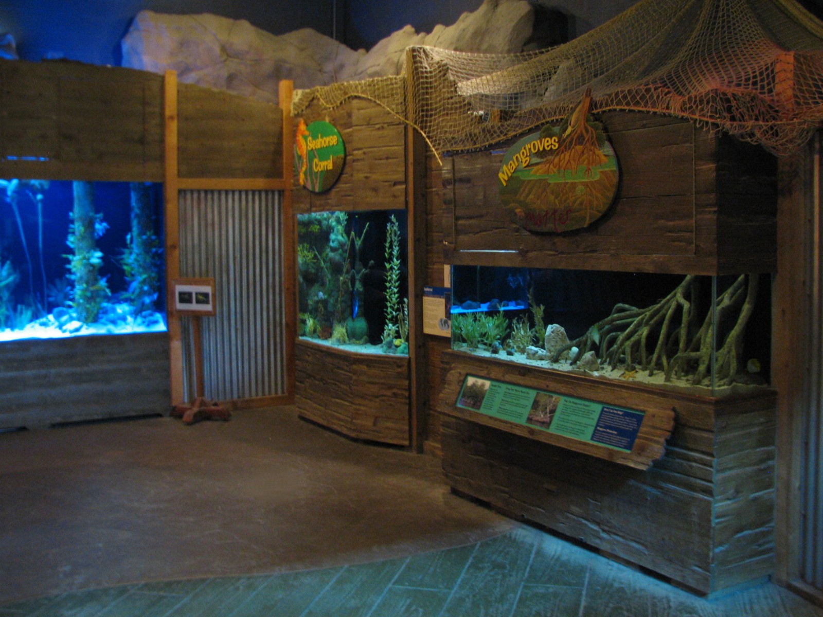 Discovery Bay - Clubhouse Cove - Mangrove, Seahorse, and Seadragon Exhibits