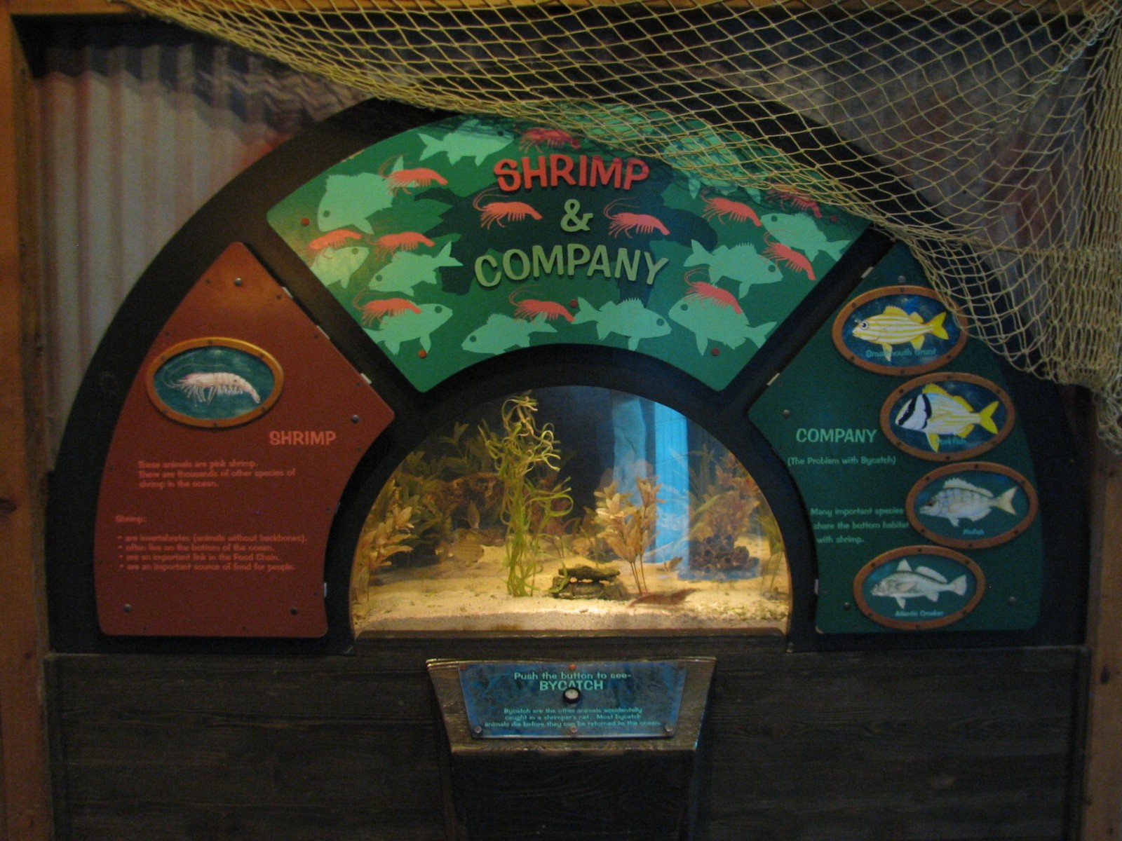 Discovery Bay - Clubhouse Cove - Shrimp and Bycatch Exhibit