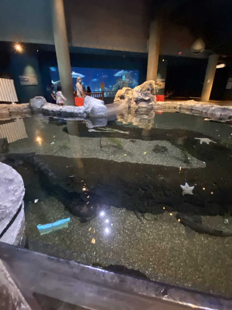 Discovery bay- estuary