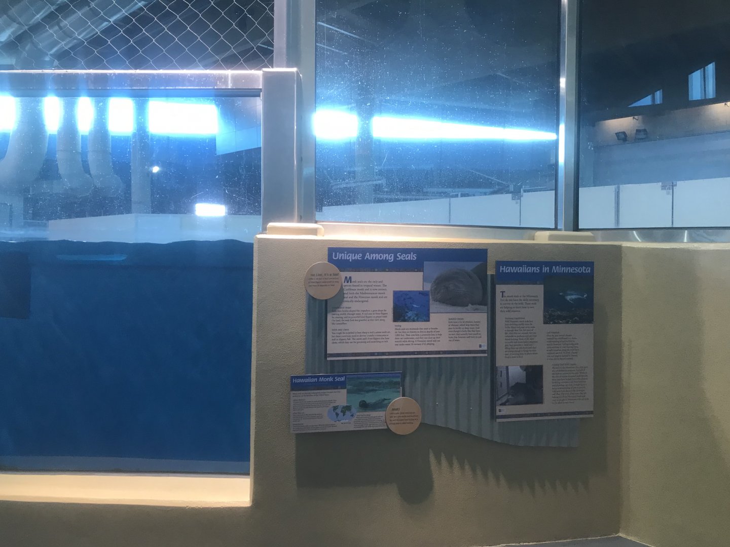 Discovery Bay - Hawaiian Monk Seal Signage