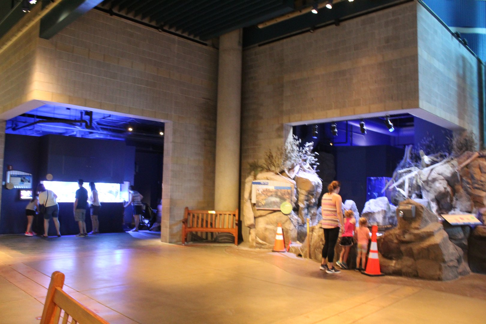 Discovery Bay Overview