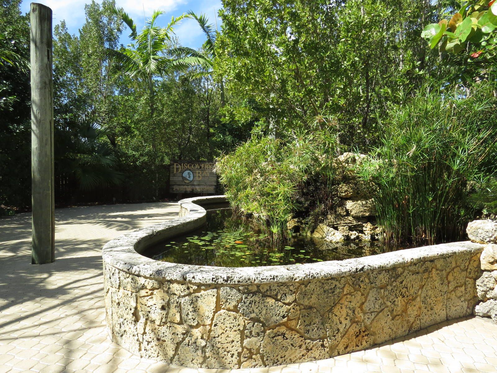 Discovery bay pools, March 2015