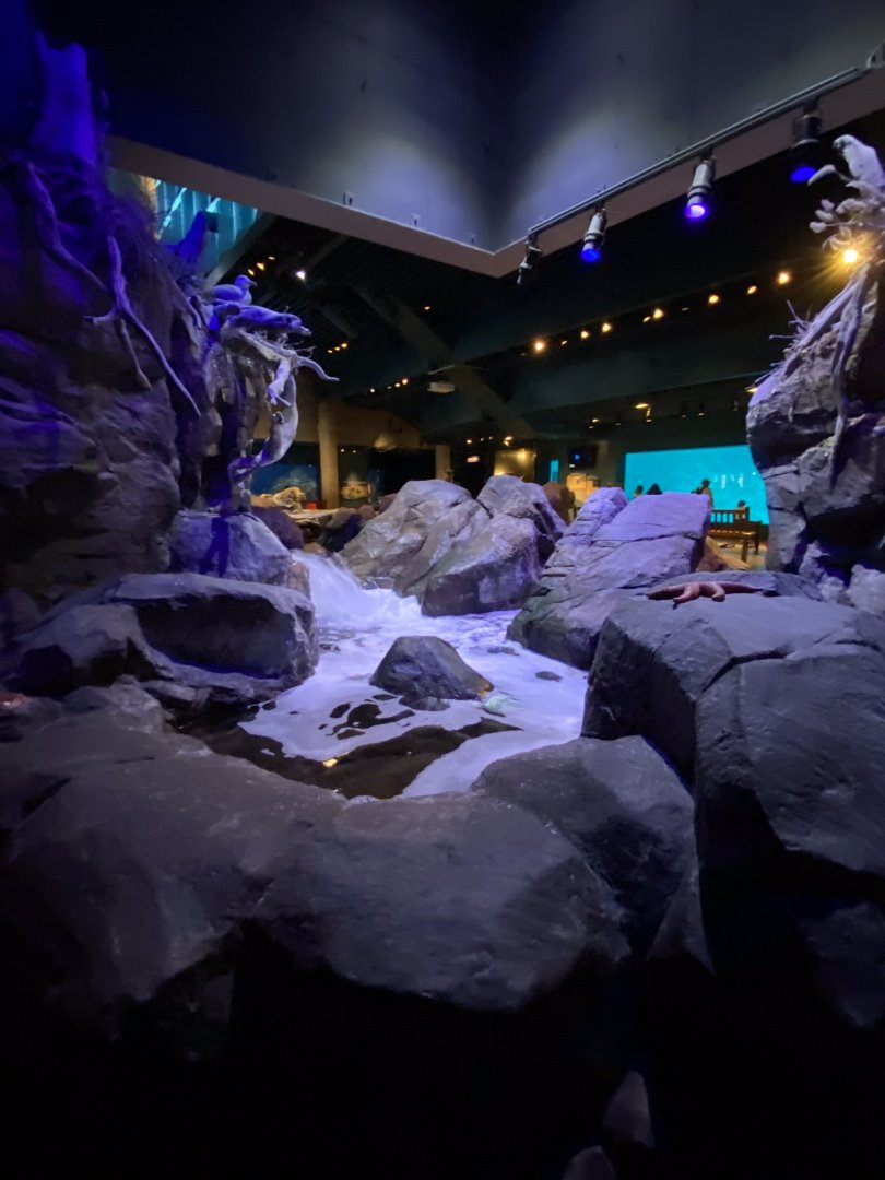 Discovery bay- tide pool