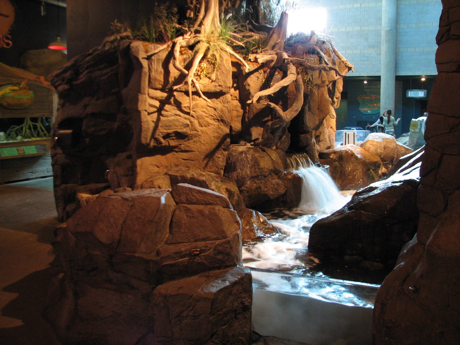 Discovery Bay - Tidepool Exhibit