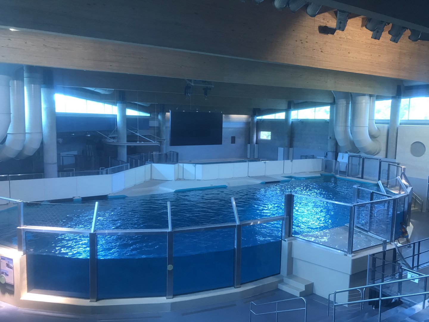 Discovery Bay - Upper Portion of Hawaiian Monk Seal Tank
