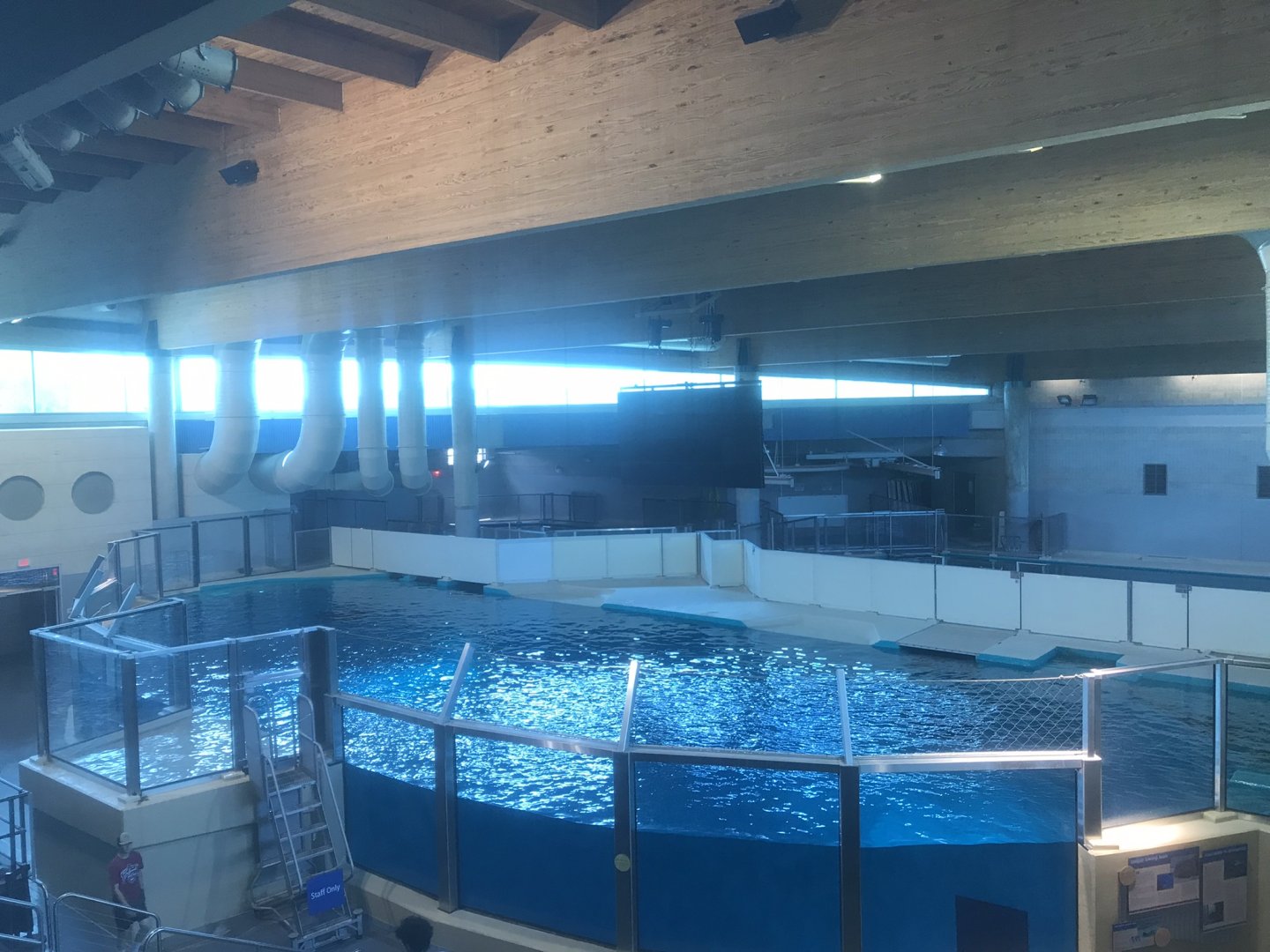 Discovery Bay - Upper Portion of Hawaiian Monk Seal Tank