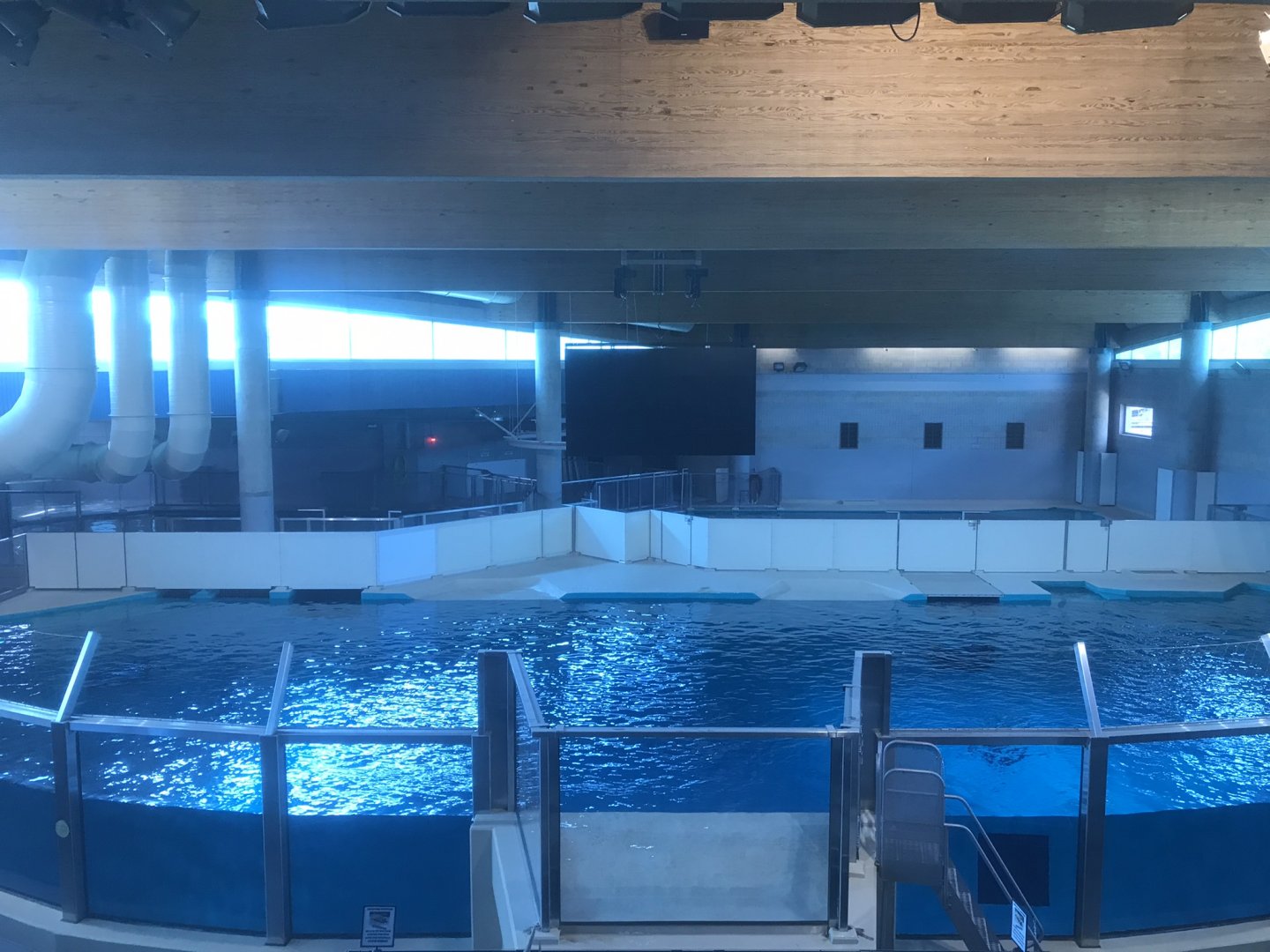 Discovery Bay - Upper Portion of Hawaiian Monk Seal Tank