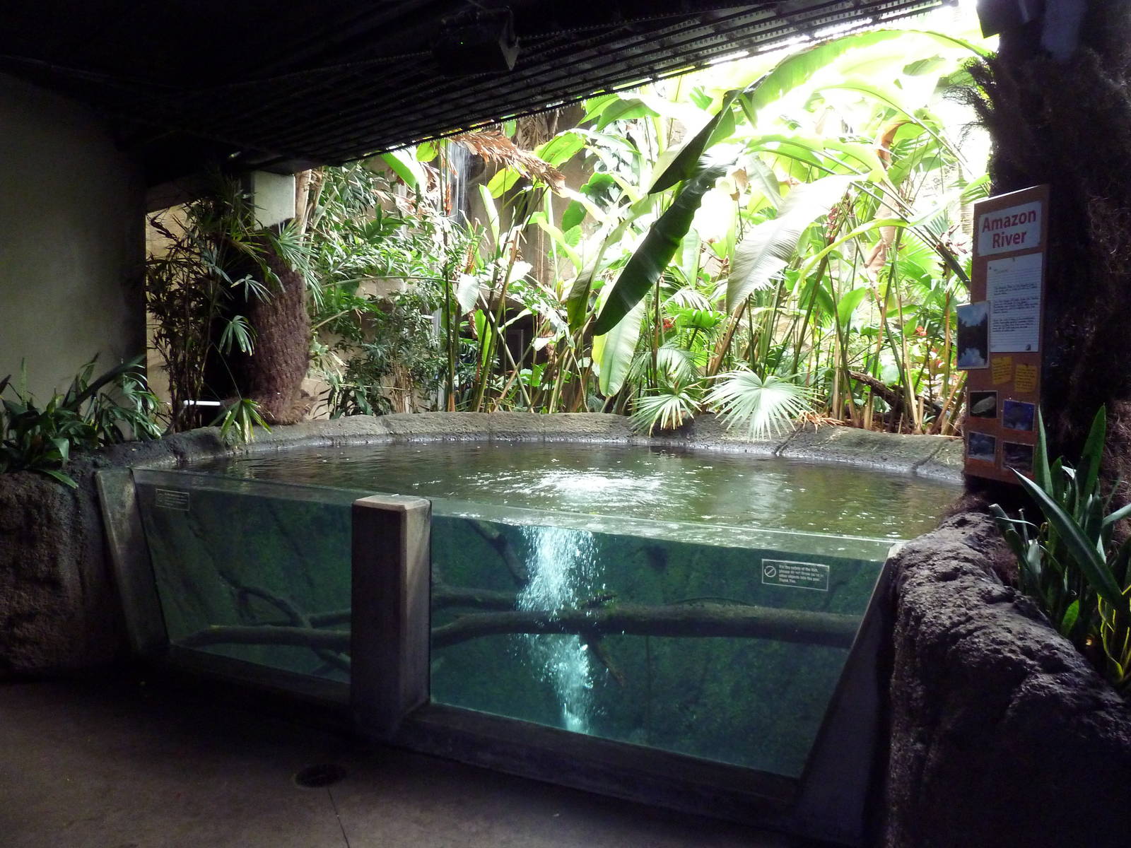 Discovery Center - Amazon Tank