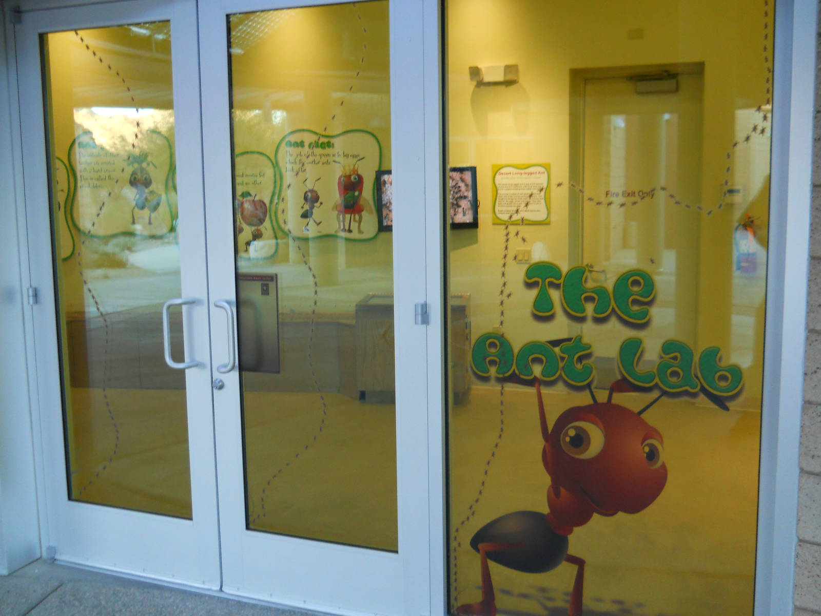 Discovery Center Ant Lab