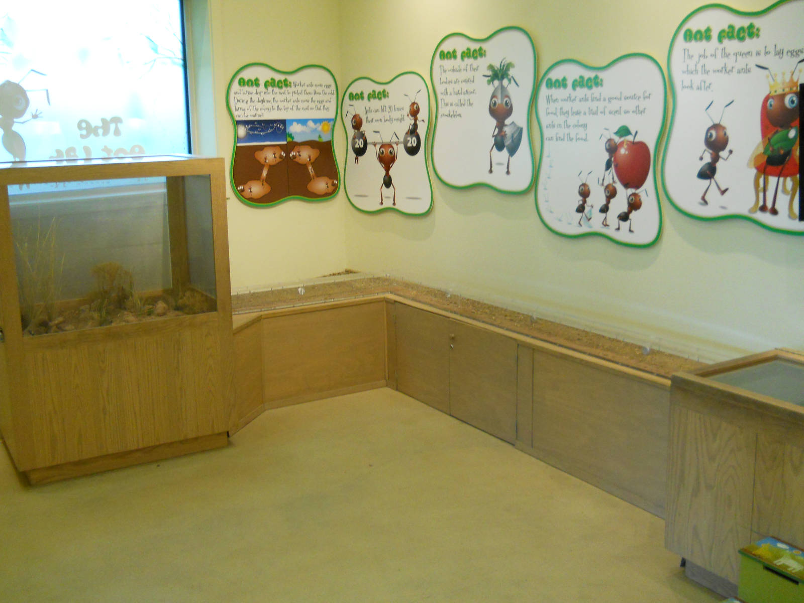 Discovery Center Ant Lab