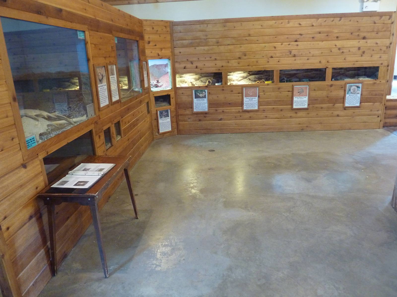 Discovery Center - Assorted Terrariums