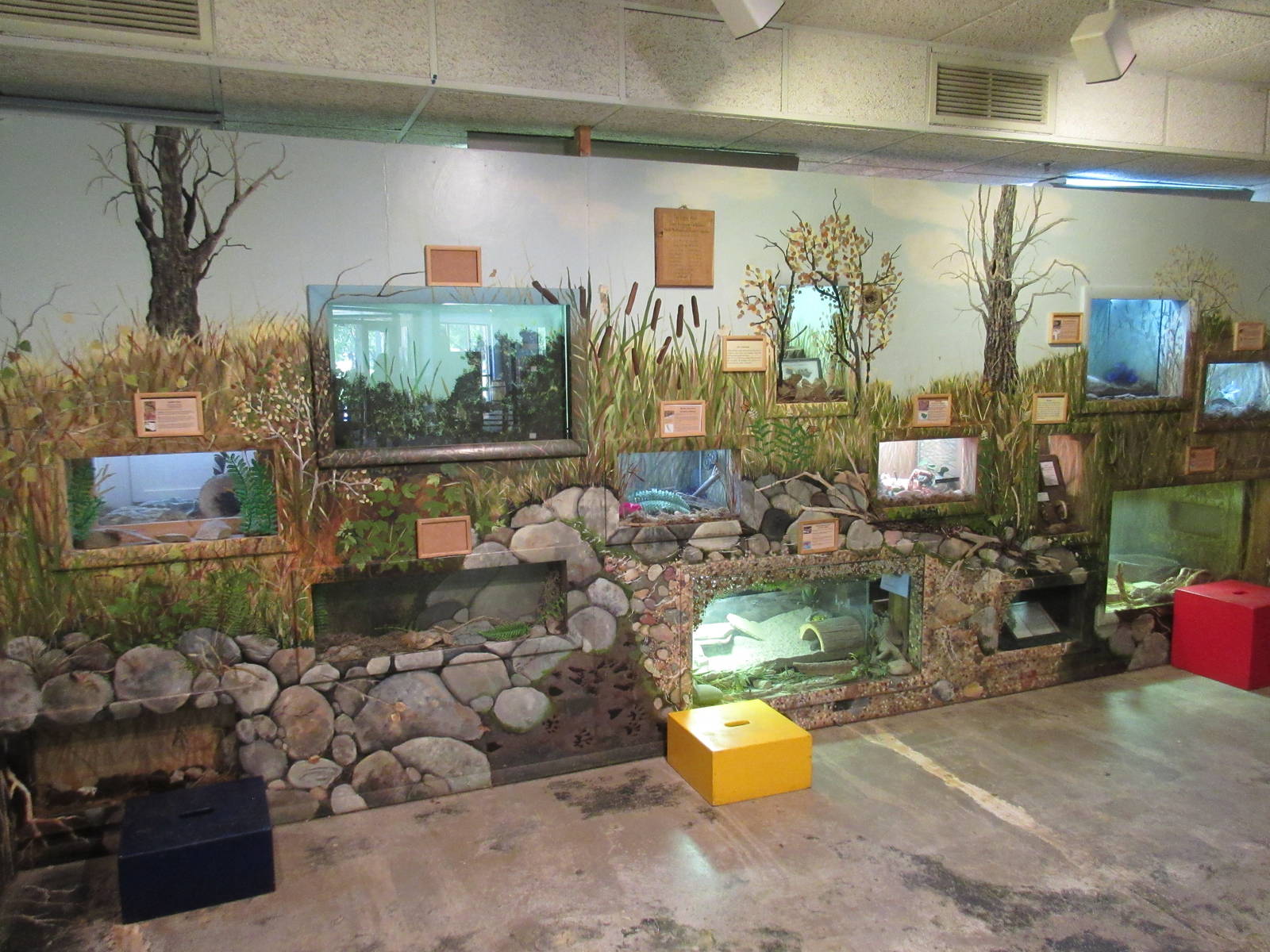 Discovery Center - Assorted Terrariums