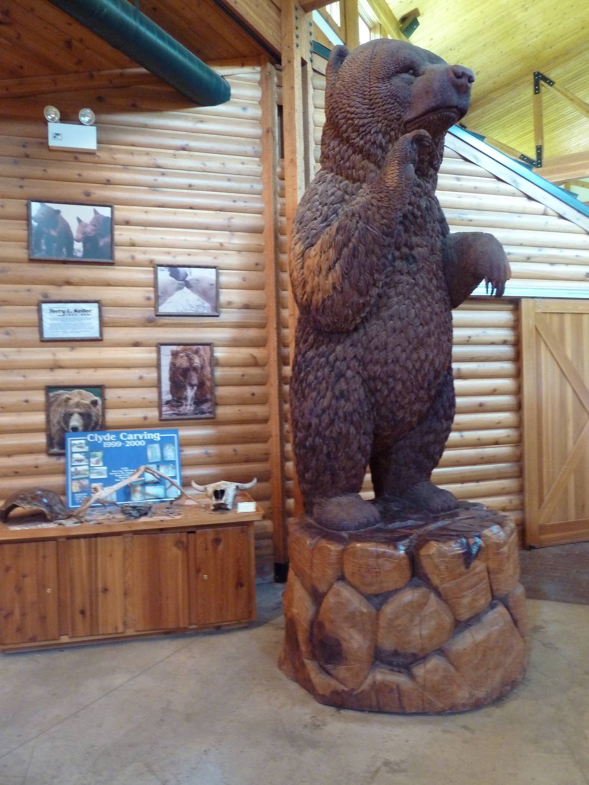 Discovery Center - Bear Statue