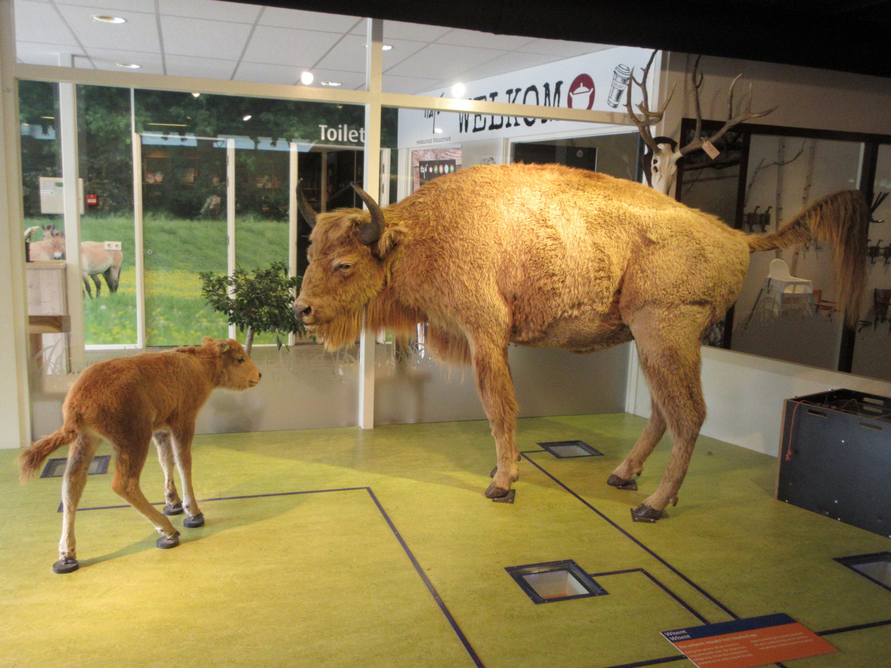 Discovery Center Building