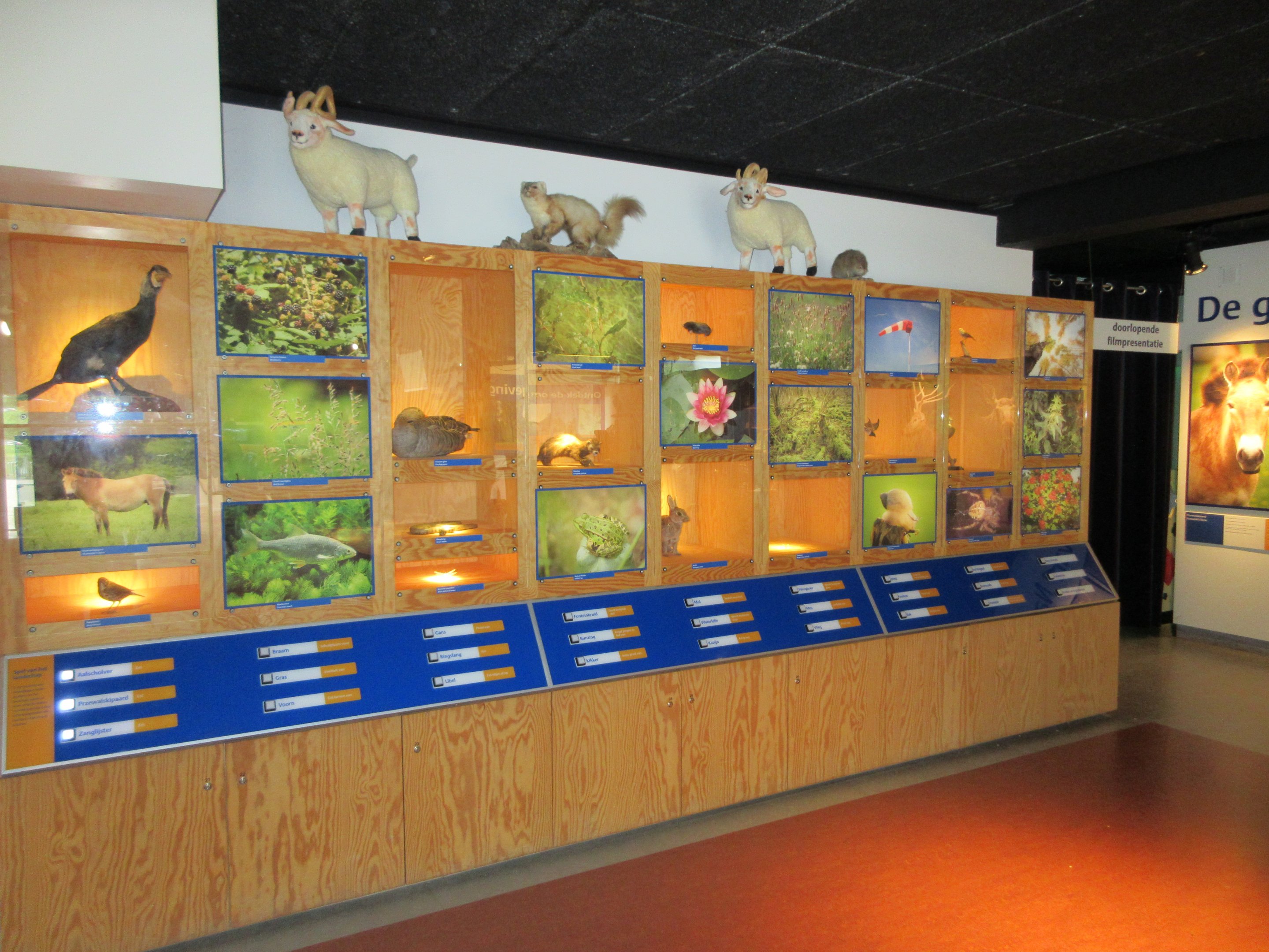 Discovery Center Building