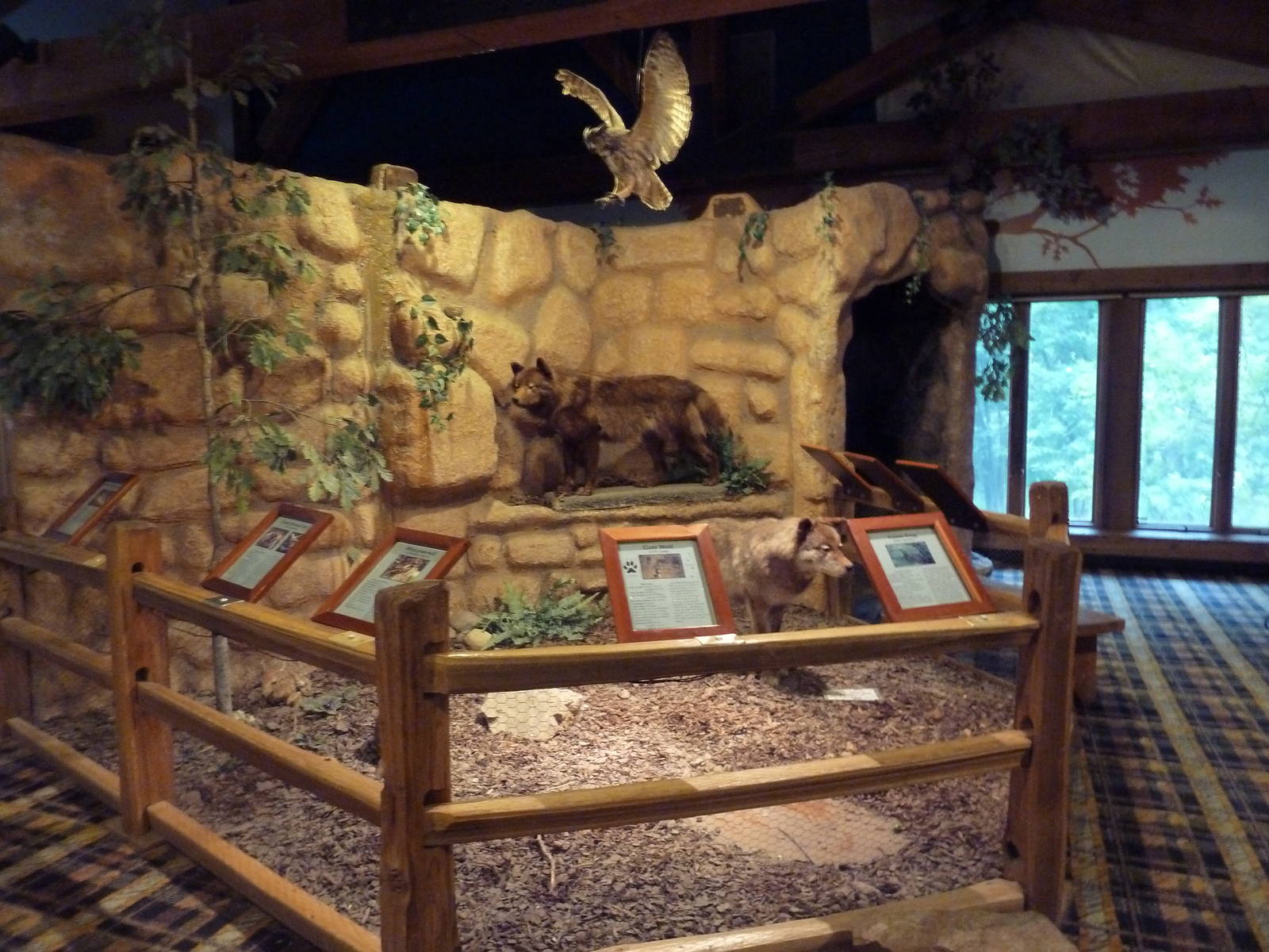 Discovery Center - Diorama